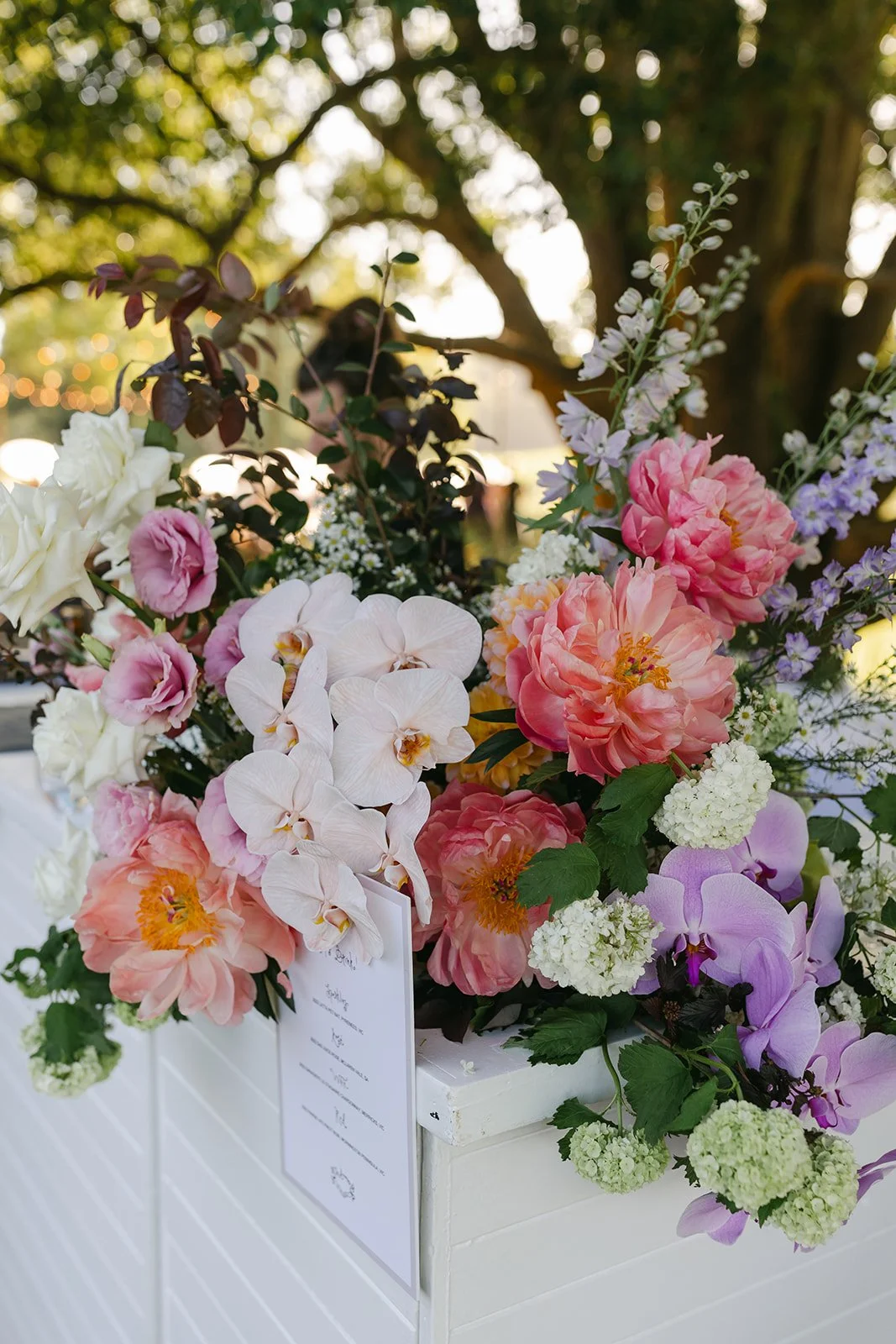 Renee & Jake-2351.jpg