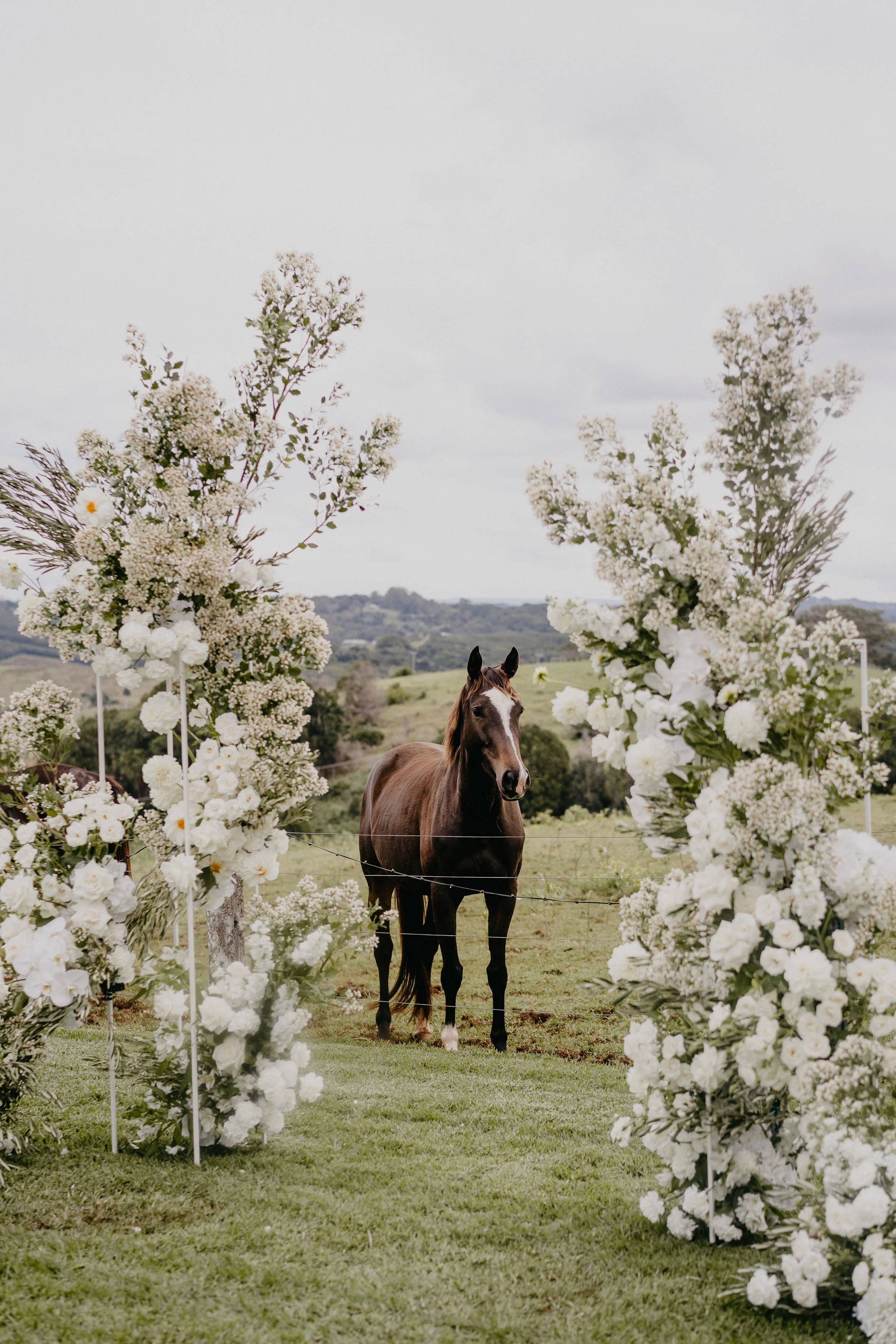 A brown horse standing in a grassy field surrounded by white flower arrangements forming an arch, with rolling hills in the background under a cloudy sky.