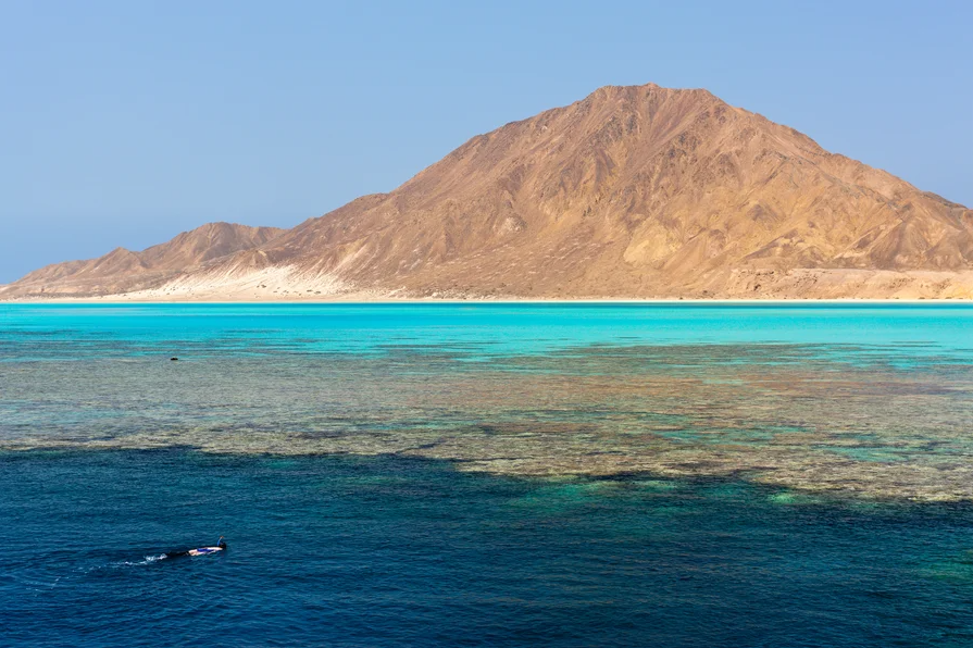 Why Bits of Continents Keep Turning Up in the Middle of Oceans (Scientific American)