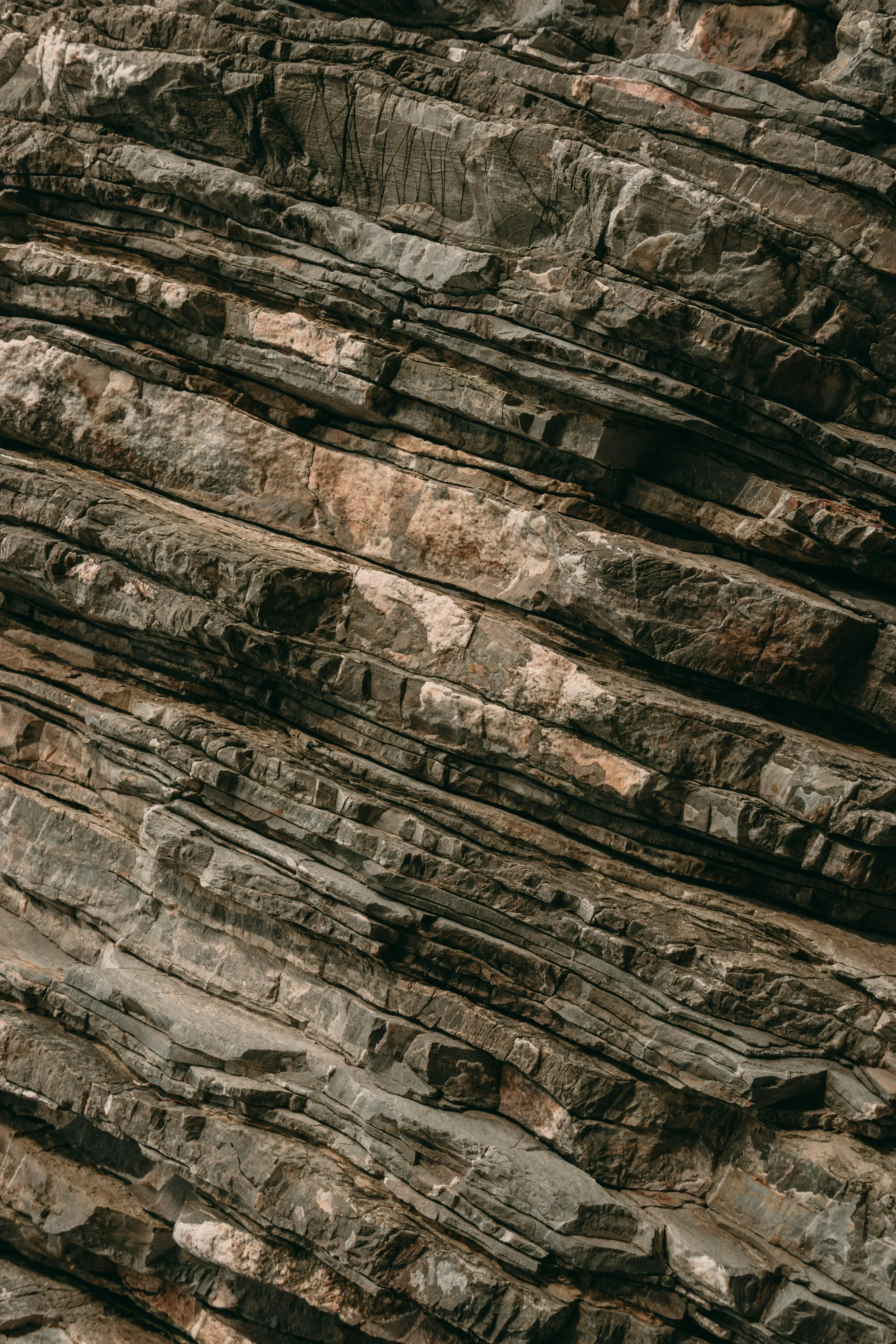 Become a backyard geologist—in one week (National Geographic)