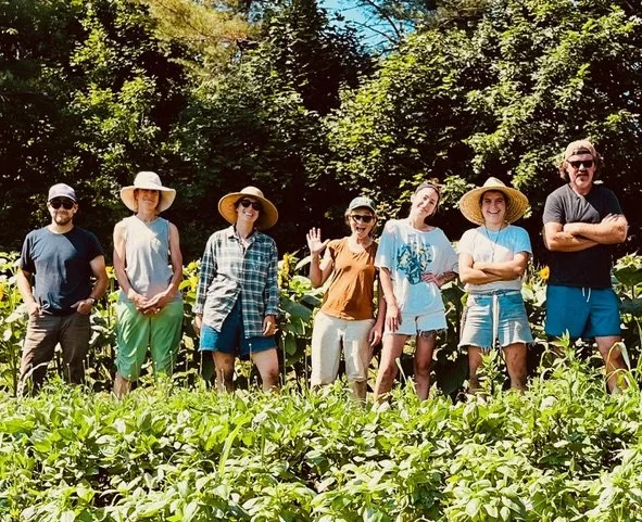 Vendor Highlight: Morning Dew Farm