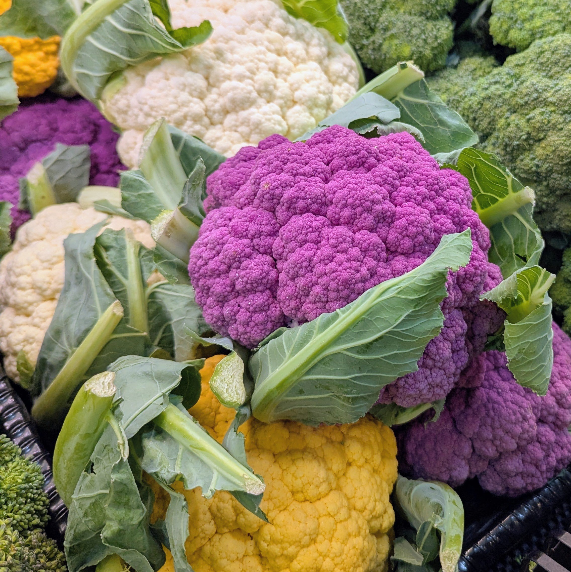 Cooking in Season: Cauliflower &amp; Kohlrabi