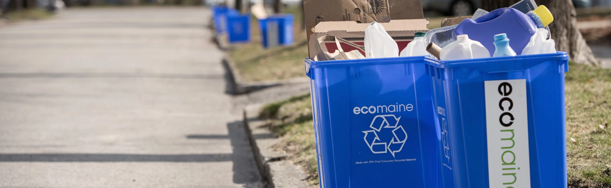 Recycling 101: What Really Happens to Your Recycling?