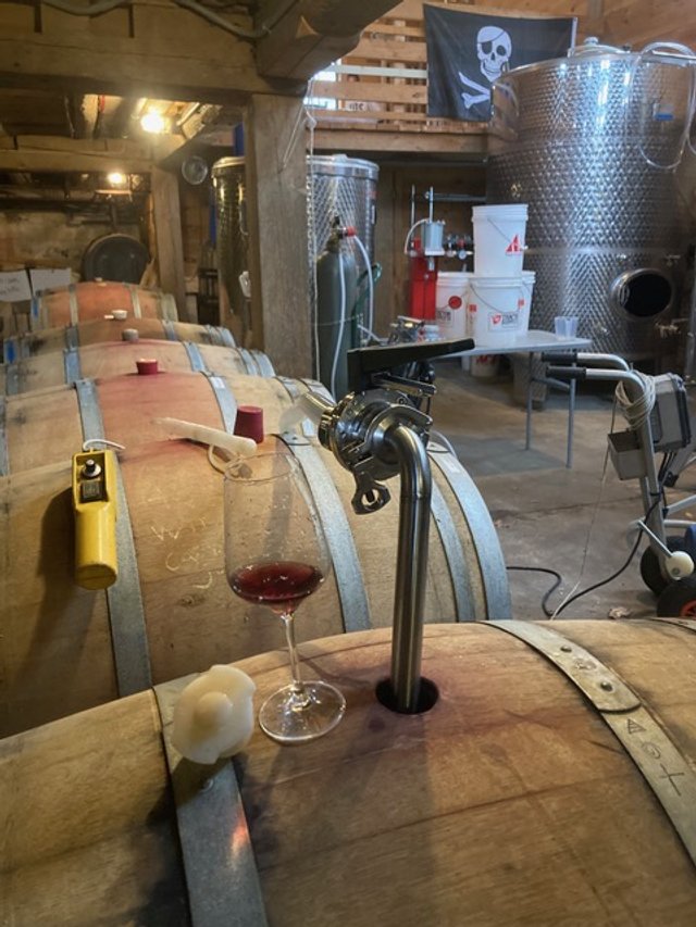 Vendor Highlight: Oyster River Winegrowers