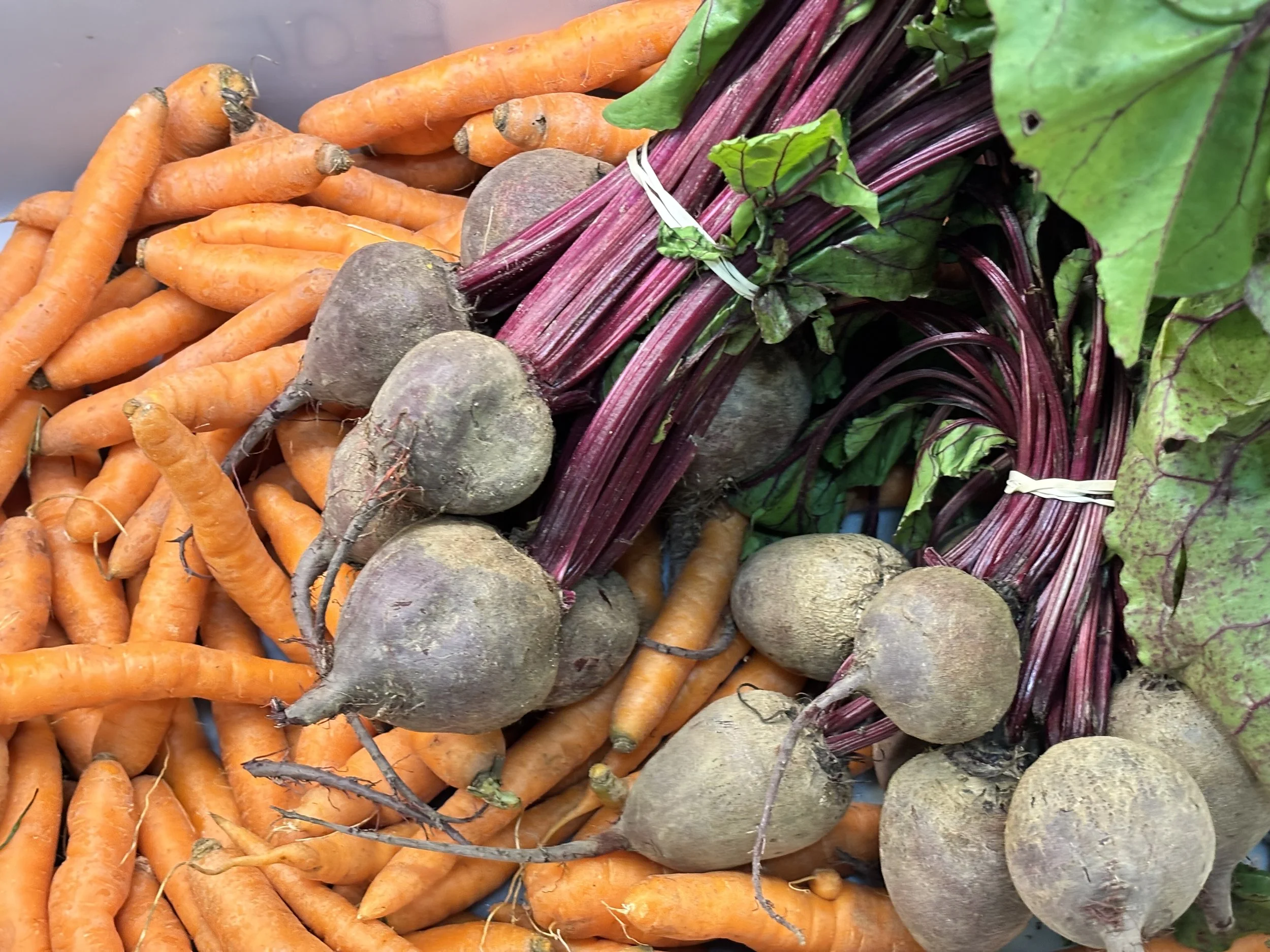 Cooking in Season: Beets &amp; Carrots