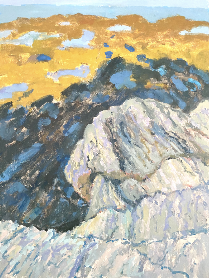 Tidal Puddles, Kettle Cove, oil on panel, 12" x 16" 2025