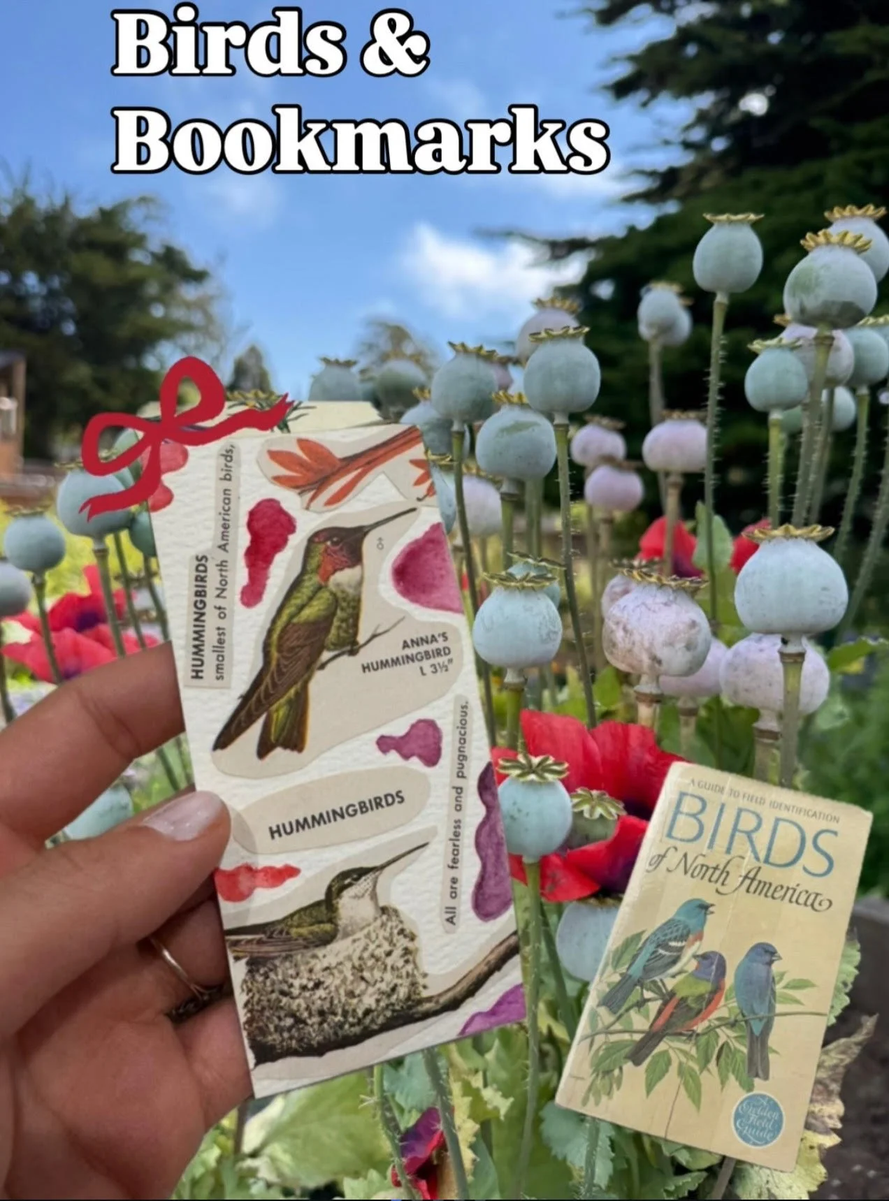 Birds & Bookmarks