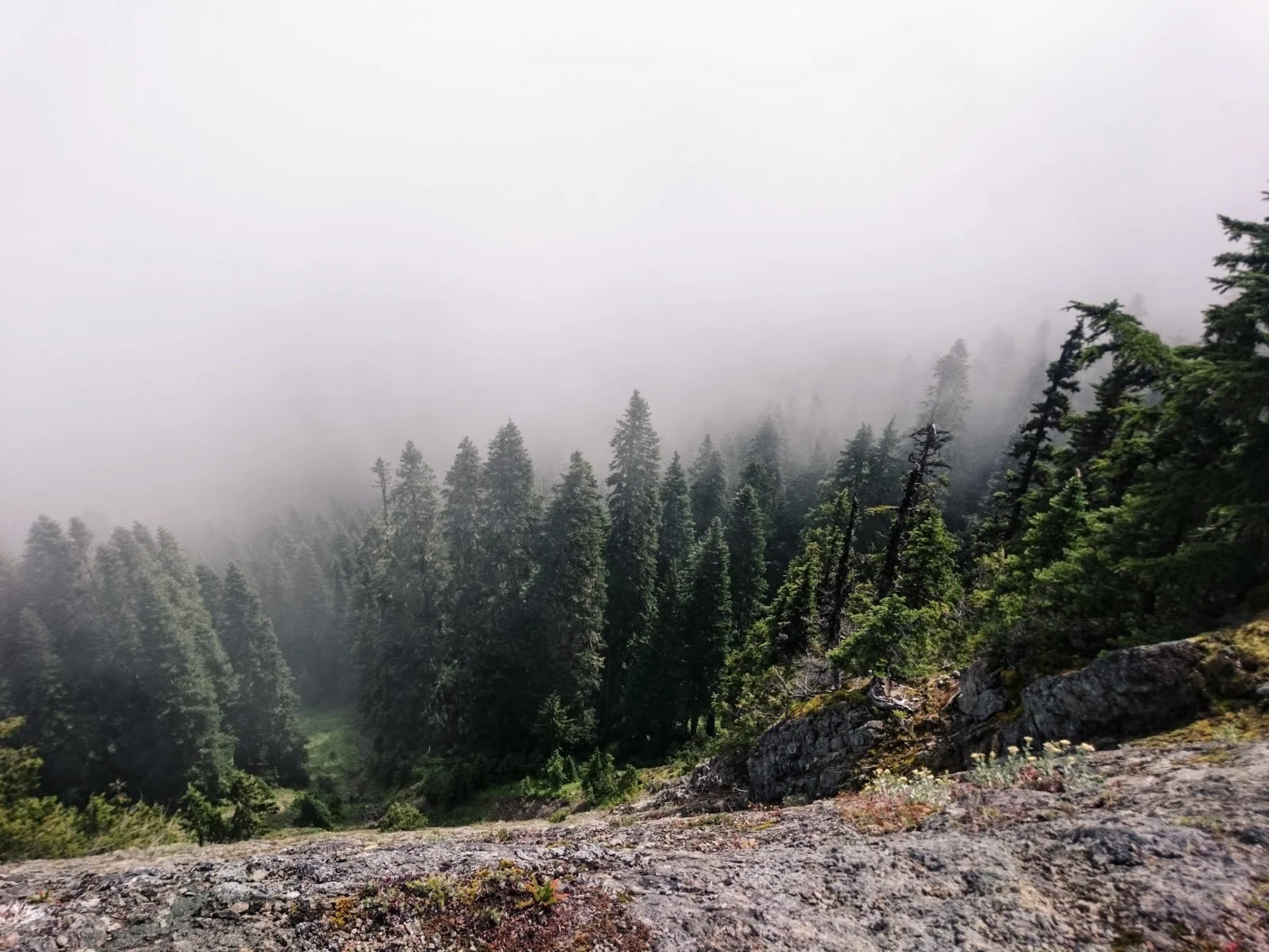 Most Church Leaders Don’t Lack Conviction—They Lack a Pathway