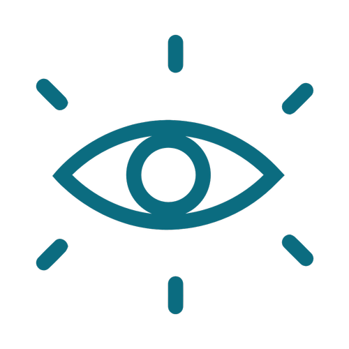 Assess Your Reality icon