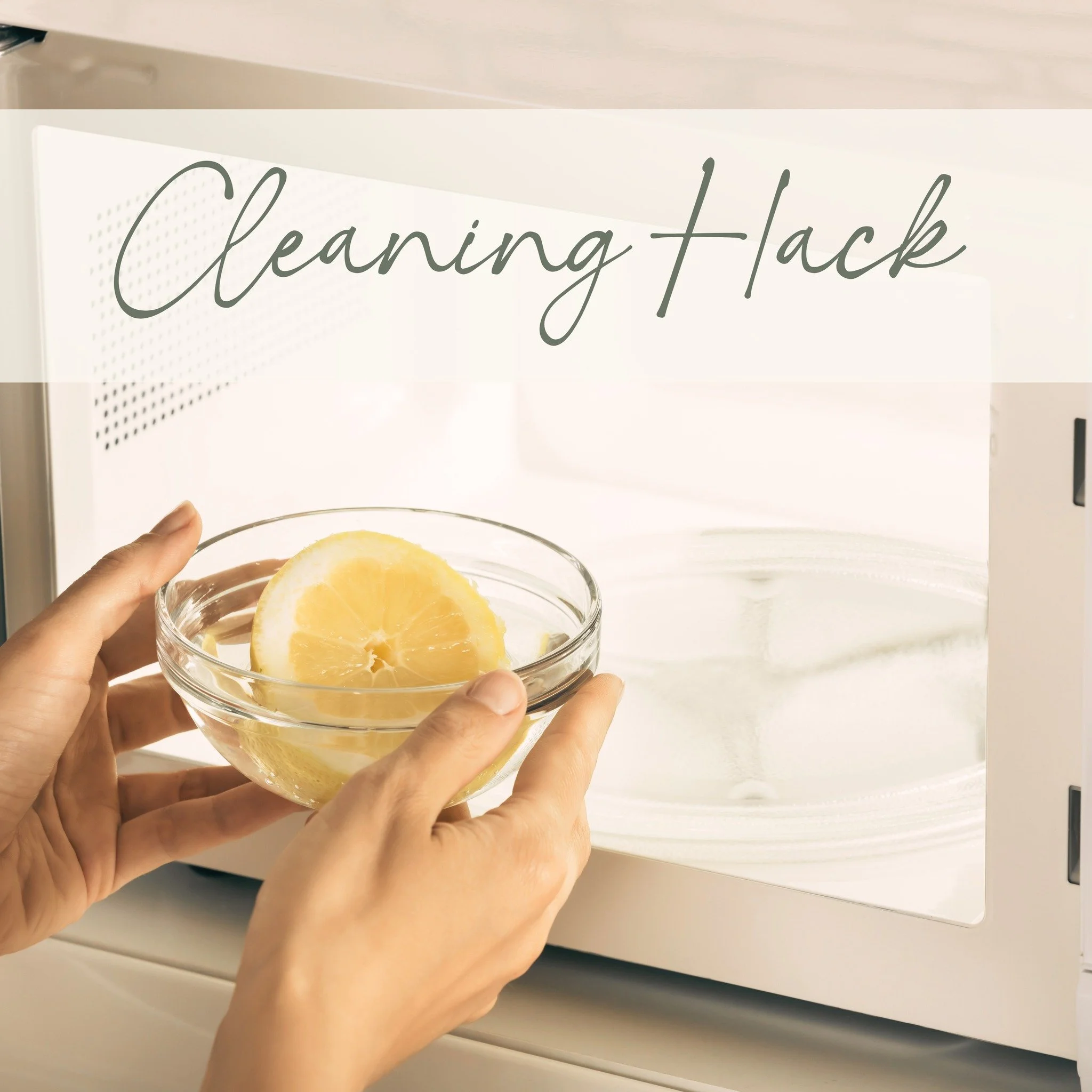 🍋 Eco-Friendly Cleaning Hack 🍋

Using lemons is one of our favourite tips to help deep clean and freshen up your microwave. Not only will your microwave smell fresh and citrusy, you won't need to worry about harsh chemical residue lingering during 