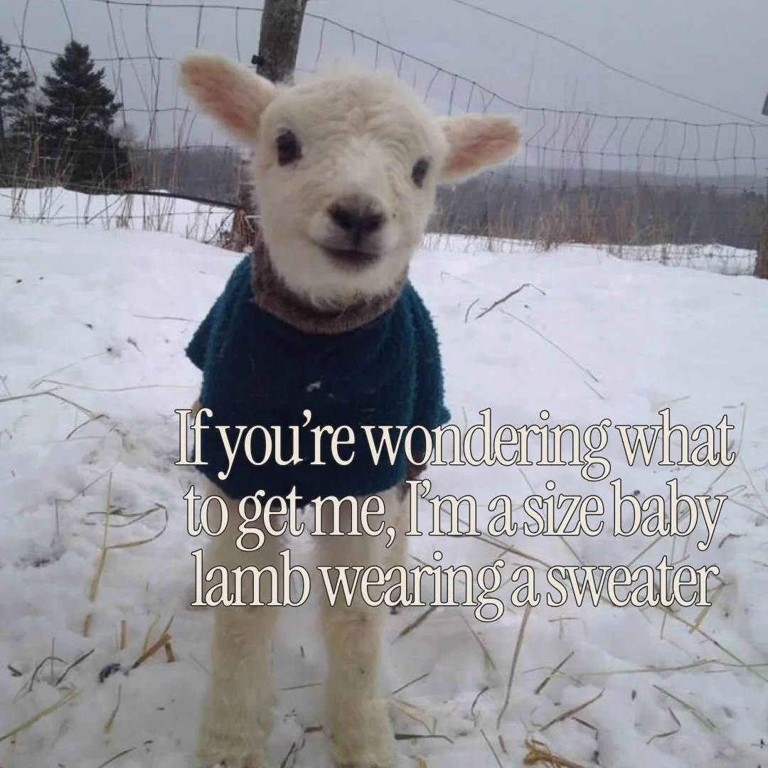 In case anyone is looking for wishlist inspiration 🫶💌🌀