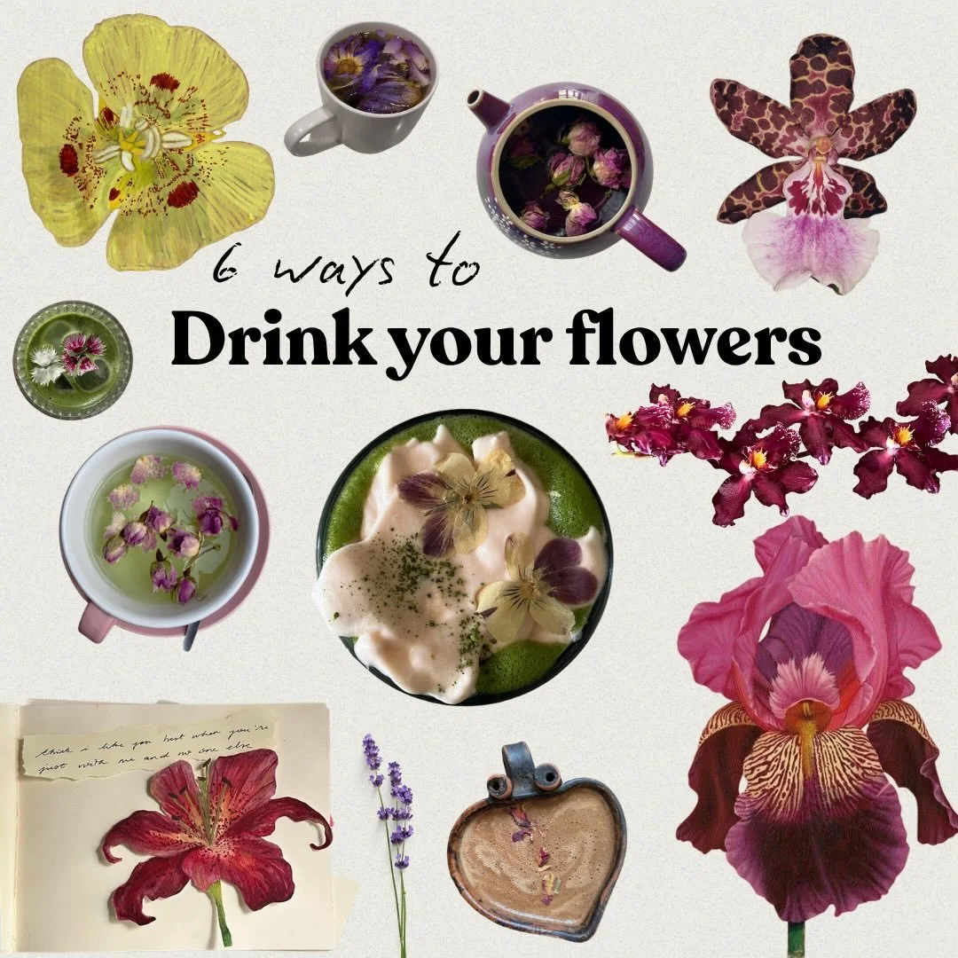 Spring is for the flowers 🪷🪻🦋

Growing them, admiring them, stopping to smell them&hellip;and drinking them 🍵 

Floral tea, rose petal matcha, calendula infusions&hellip;here are 6 of my favorites 🌝