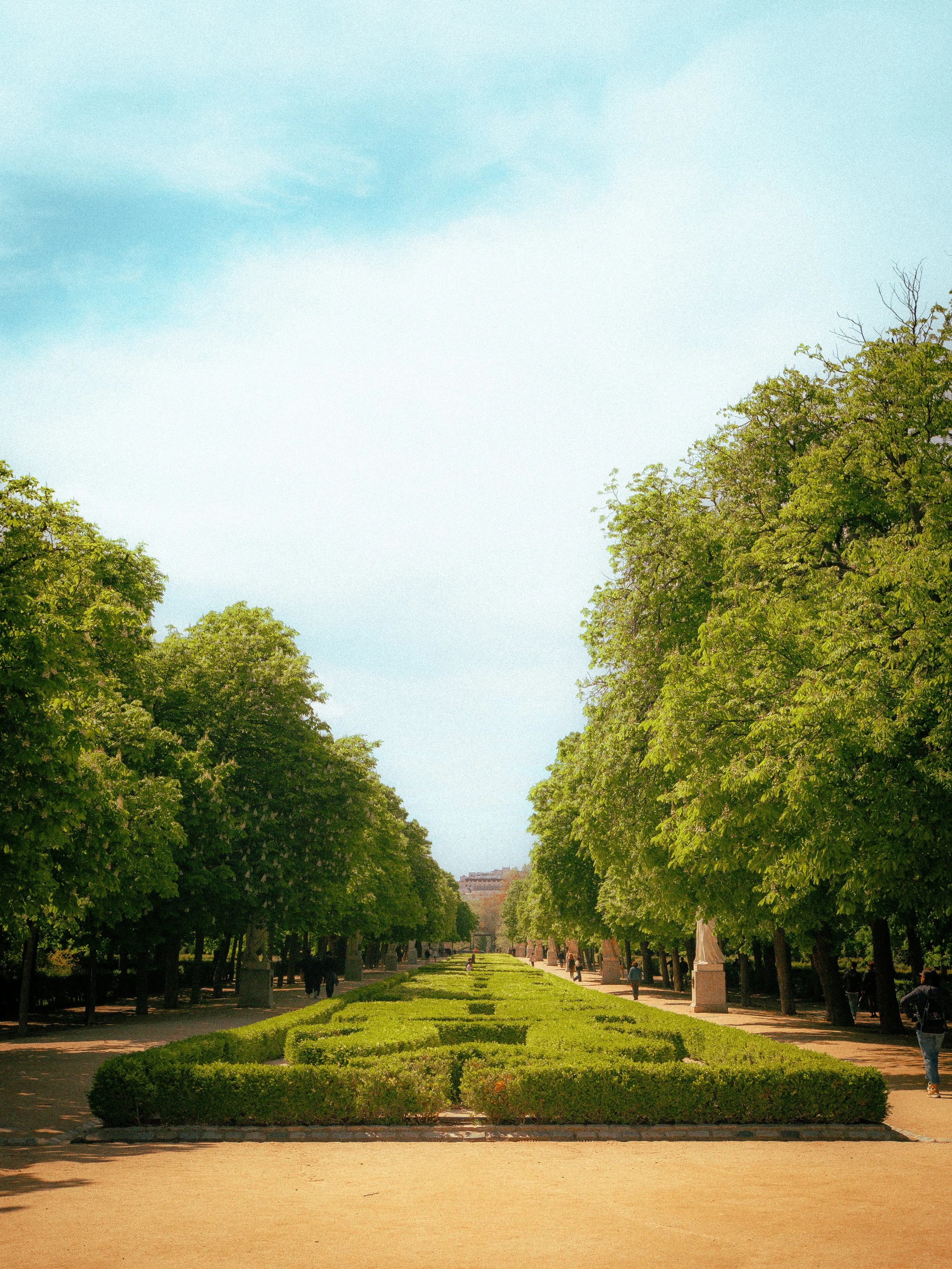 P1100266.jpg