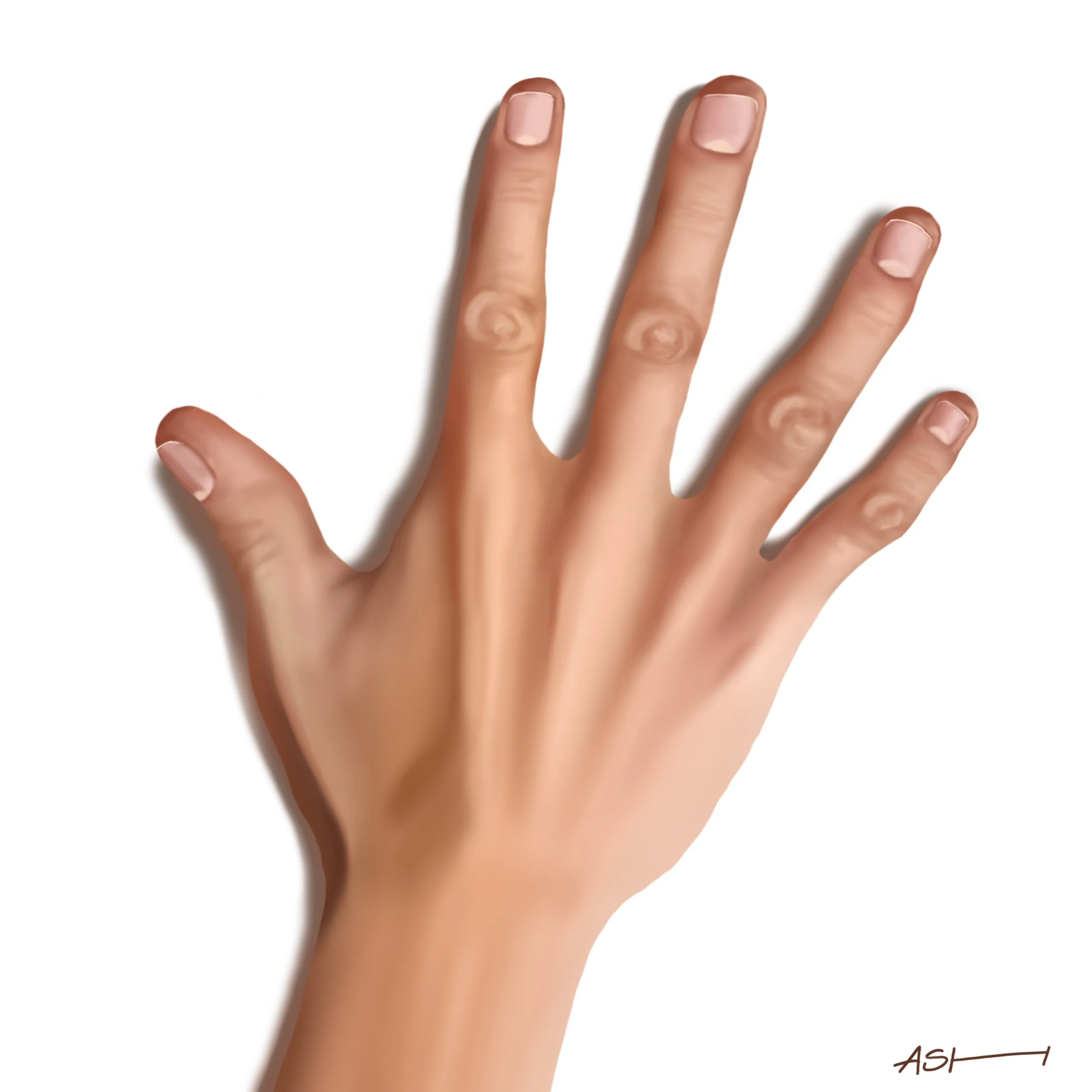 HandStudy.jpg