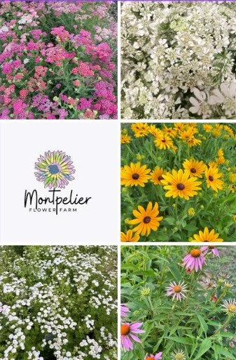 2026 June Bulk Flowers.jpg