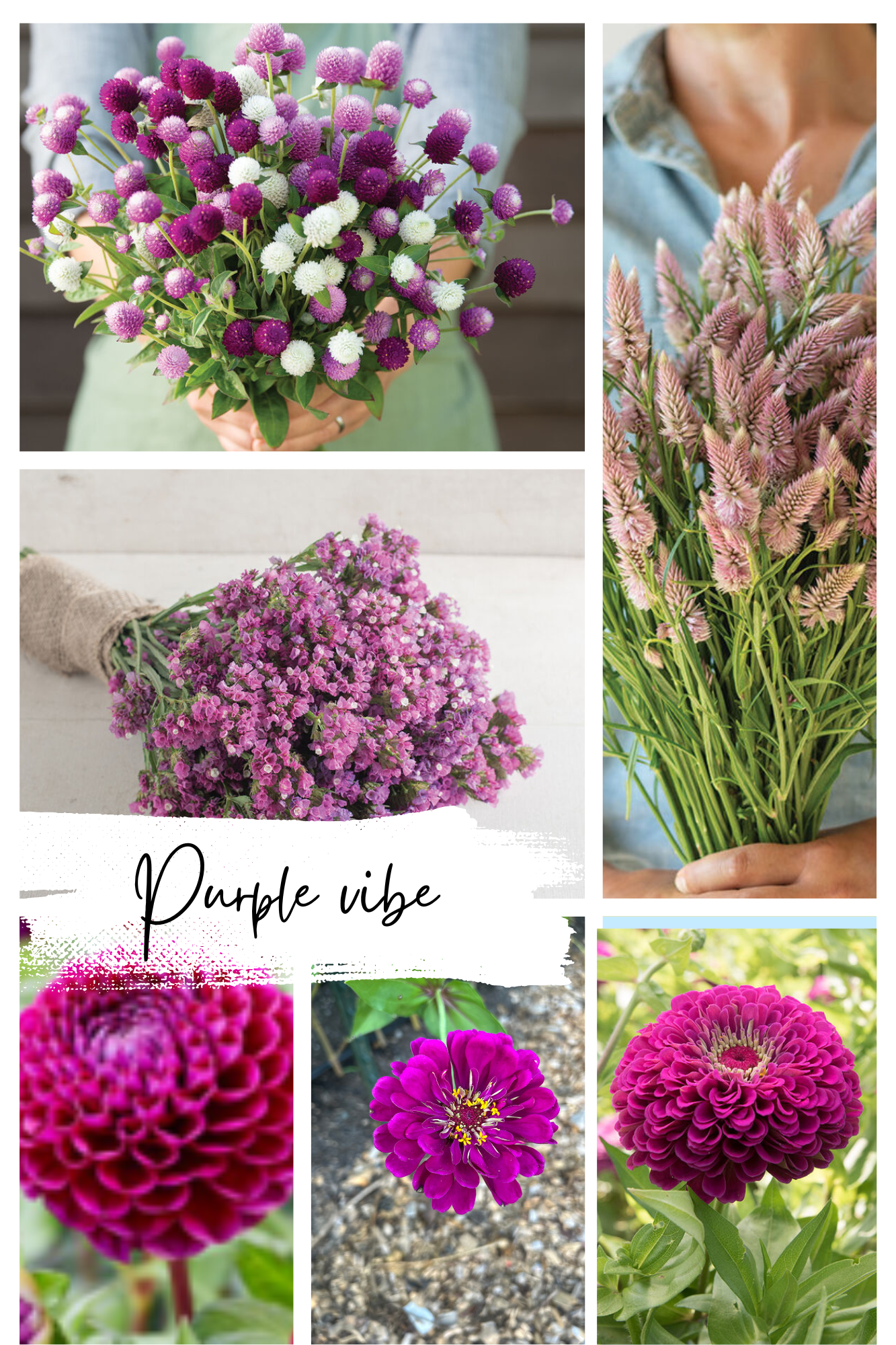 Purple Vibes Collage.png