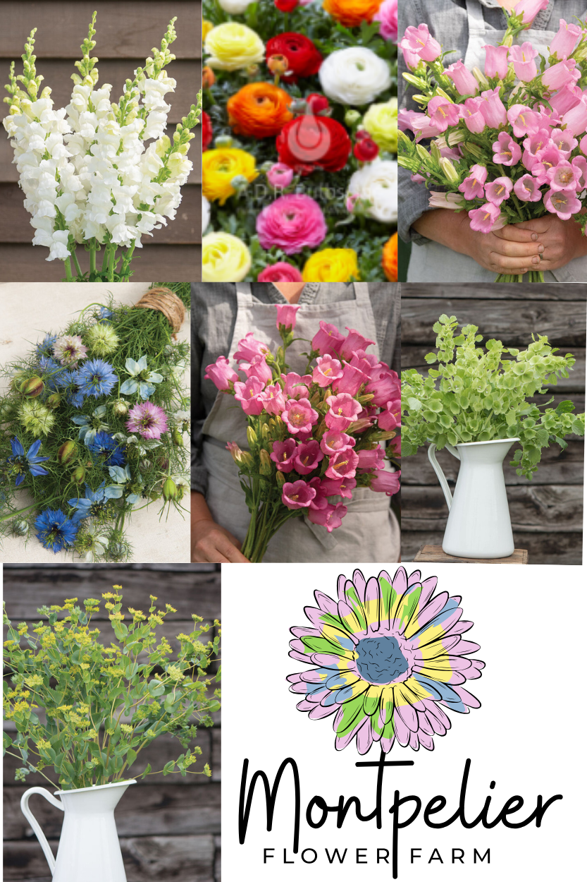 Collage spring flowers 2.27.26.png