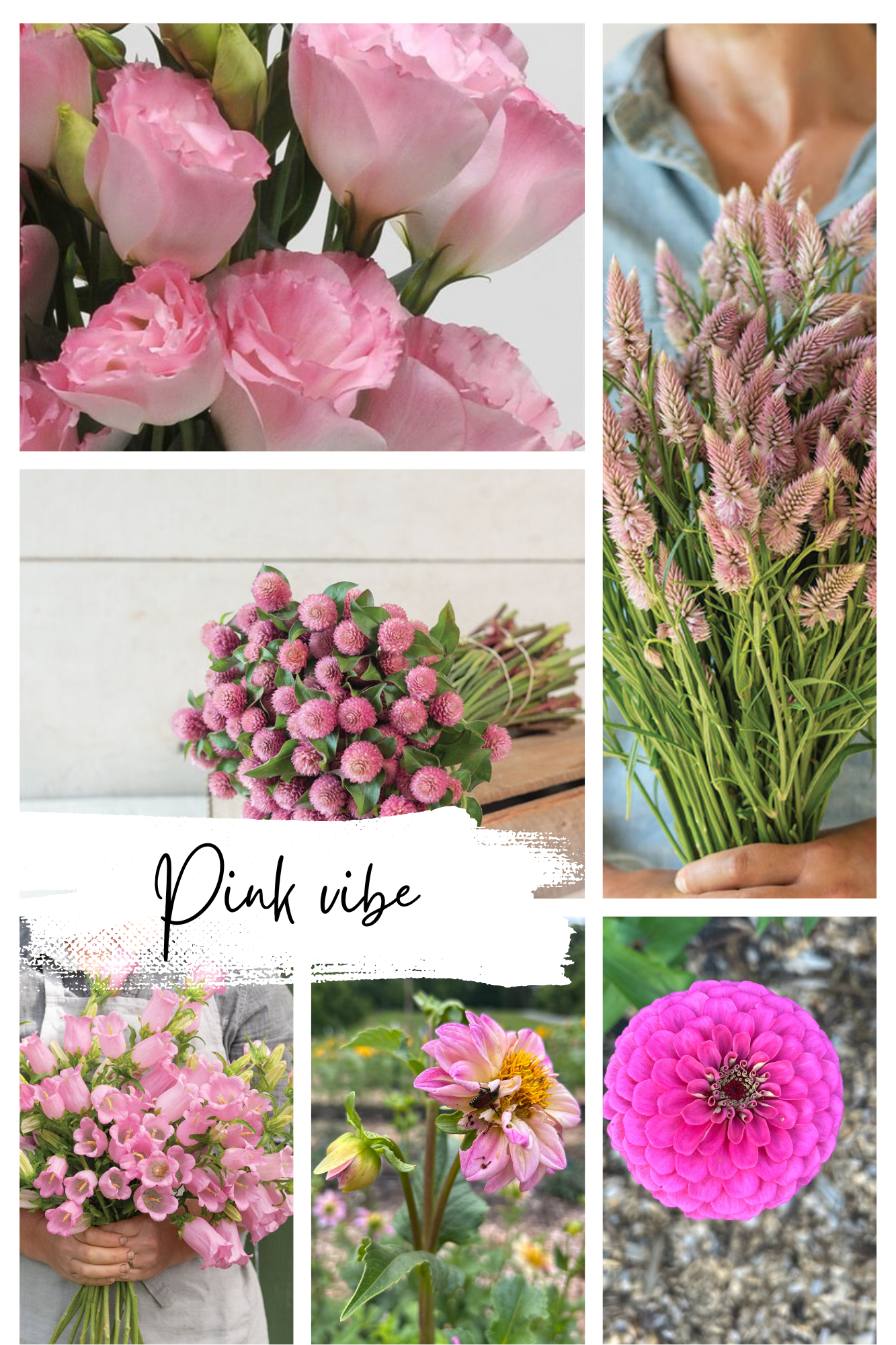 Pink Vibes Collage.png