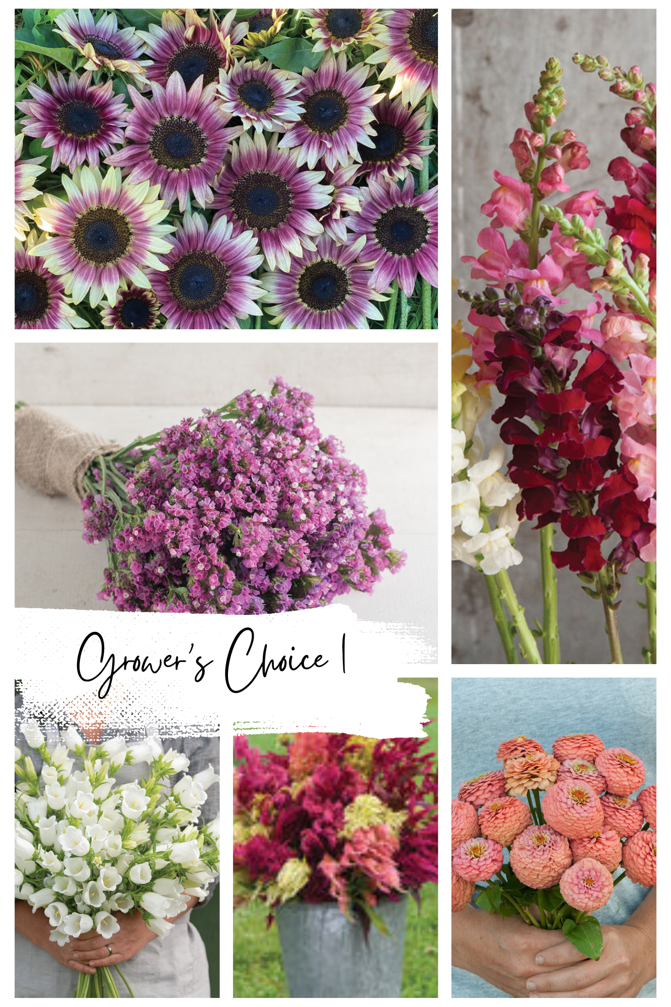 Grower's Choice 1.png