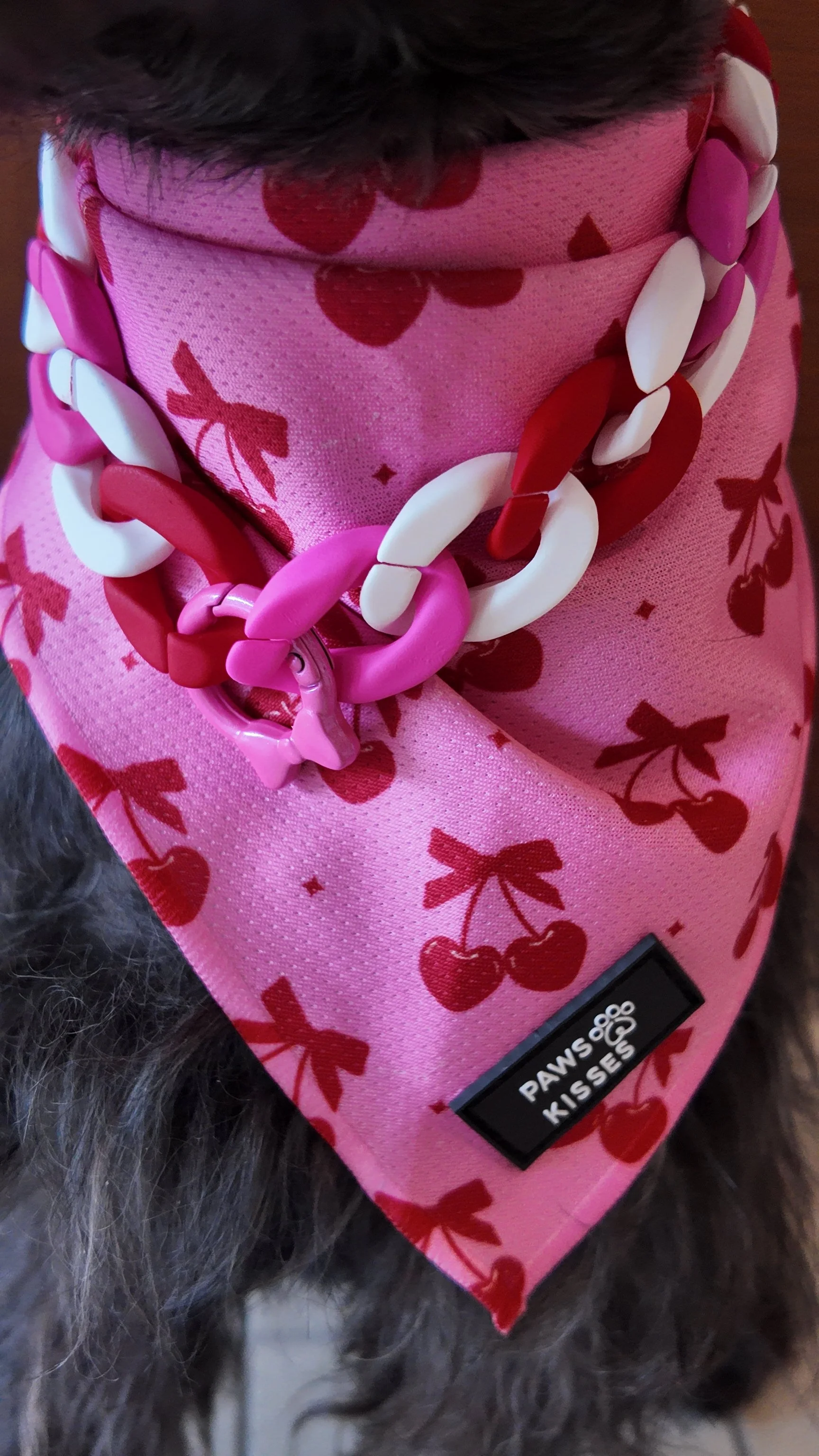 Love Struck Chain Dog Cat Necklace From the Love at First Bark 💎 💕 - An Icy Woof x Paws & Kisses Collab - Valentine's day Edition