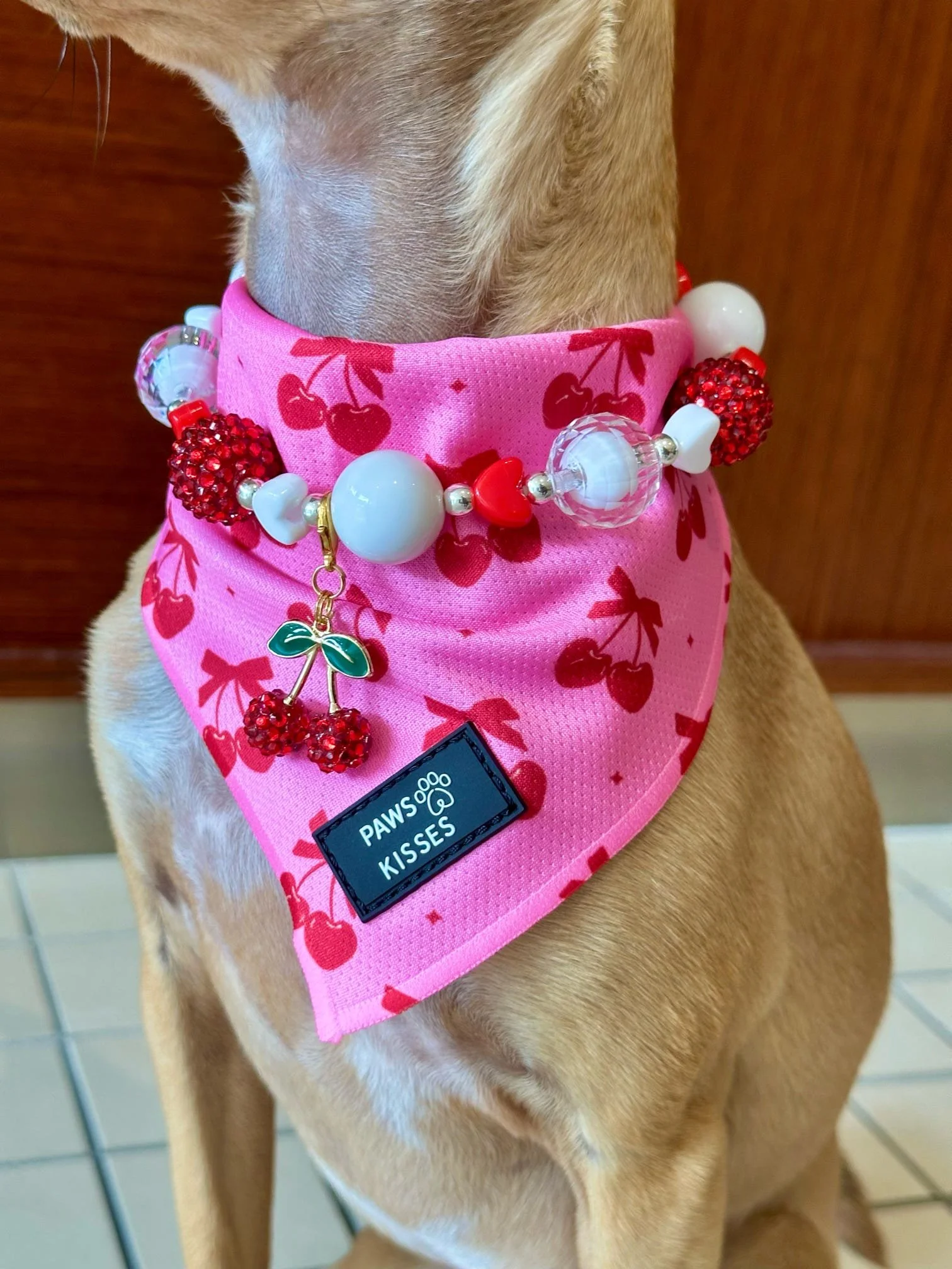 First Spark Beaded Dog Cat Necklace From the Love at First Bark 💎 💕 - An Icy Woof x Paws & Kisses Collab - Valentines day Edition