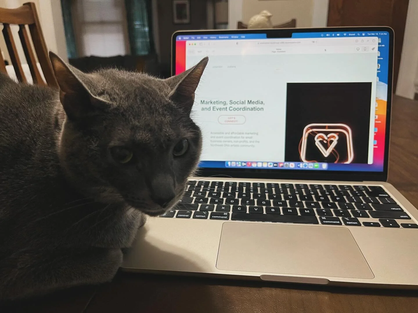 Pearl is assisting me with my new website.