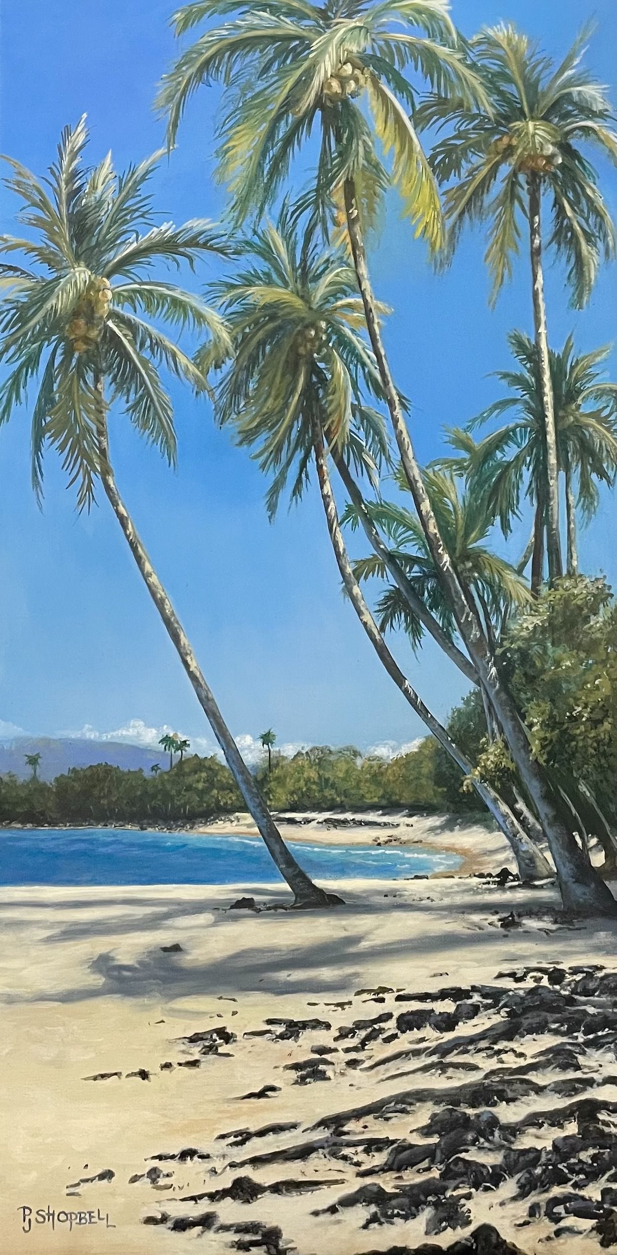 Kekaha Kai
Oil on Linen Panel
8" x 16