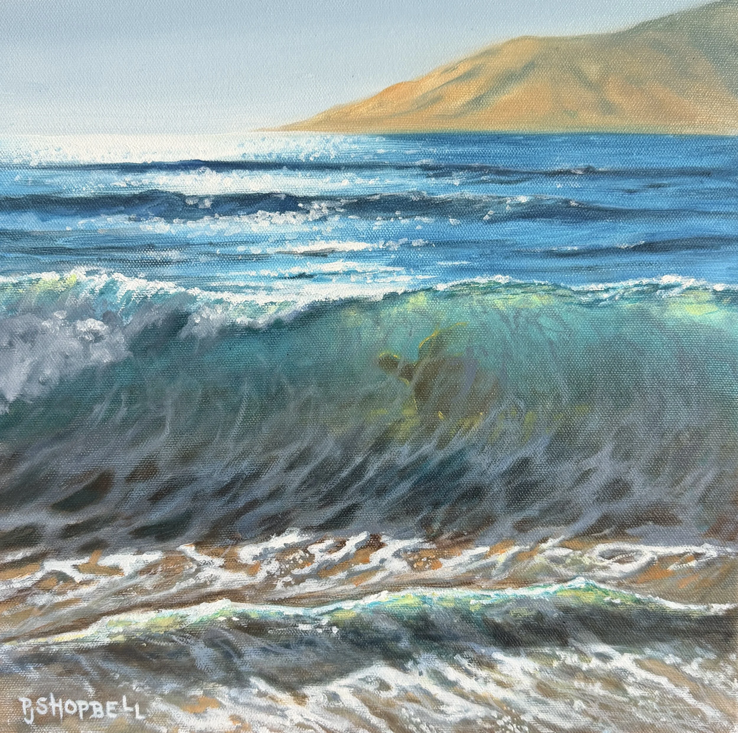 just-passing-through-honu-seaturtle-wave-ocean-hawaii