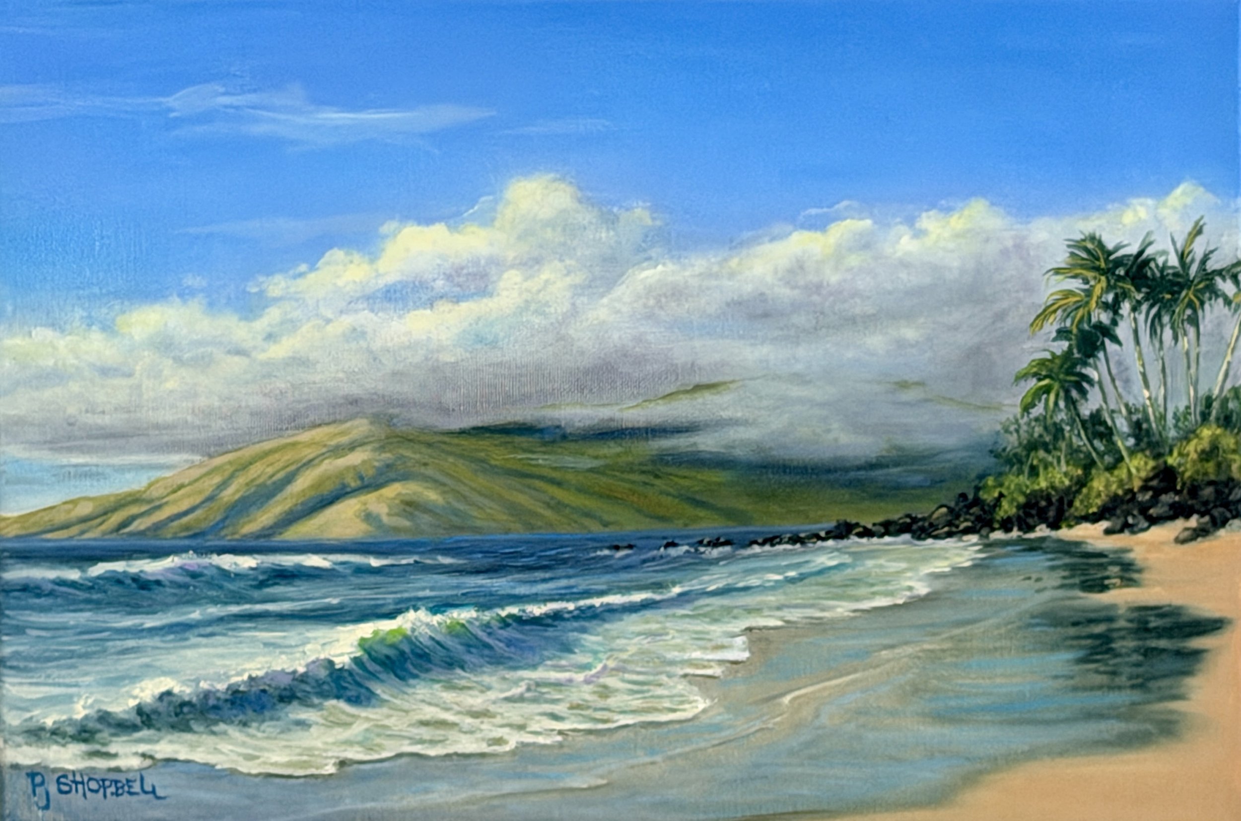 beach, waves, palm trees, maui, Hawaii