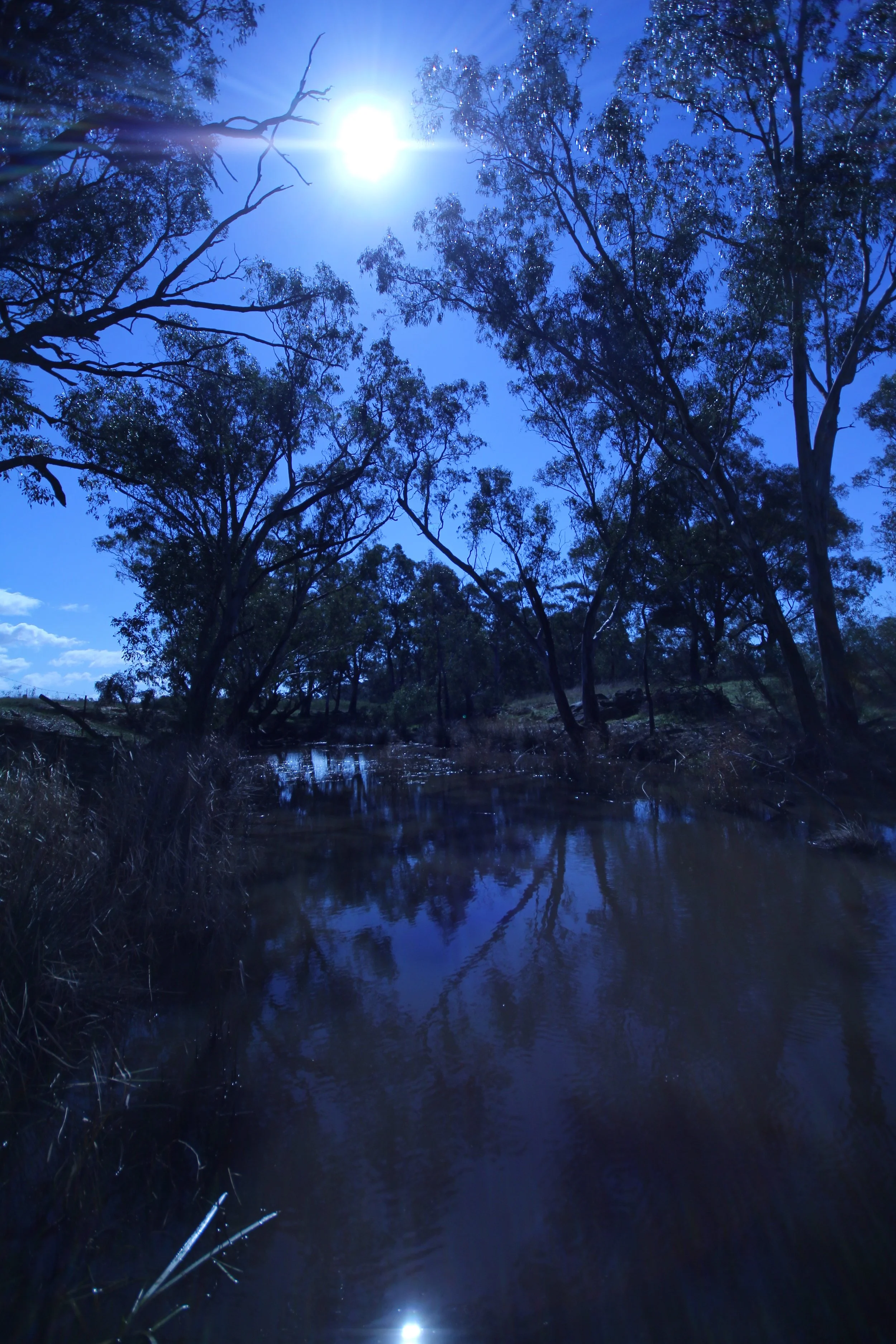 Creek at Dusk, Bendigo, by Olaf Parusel