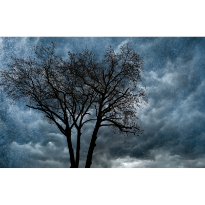 What the rain teaches us