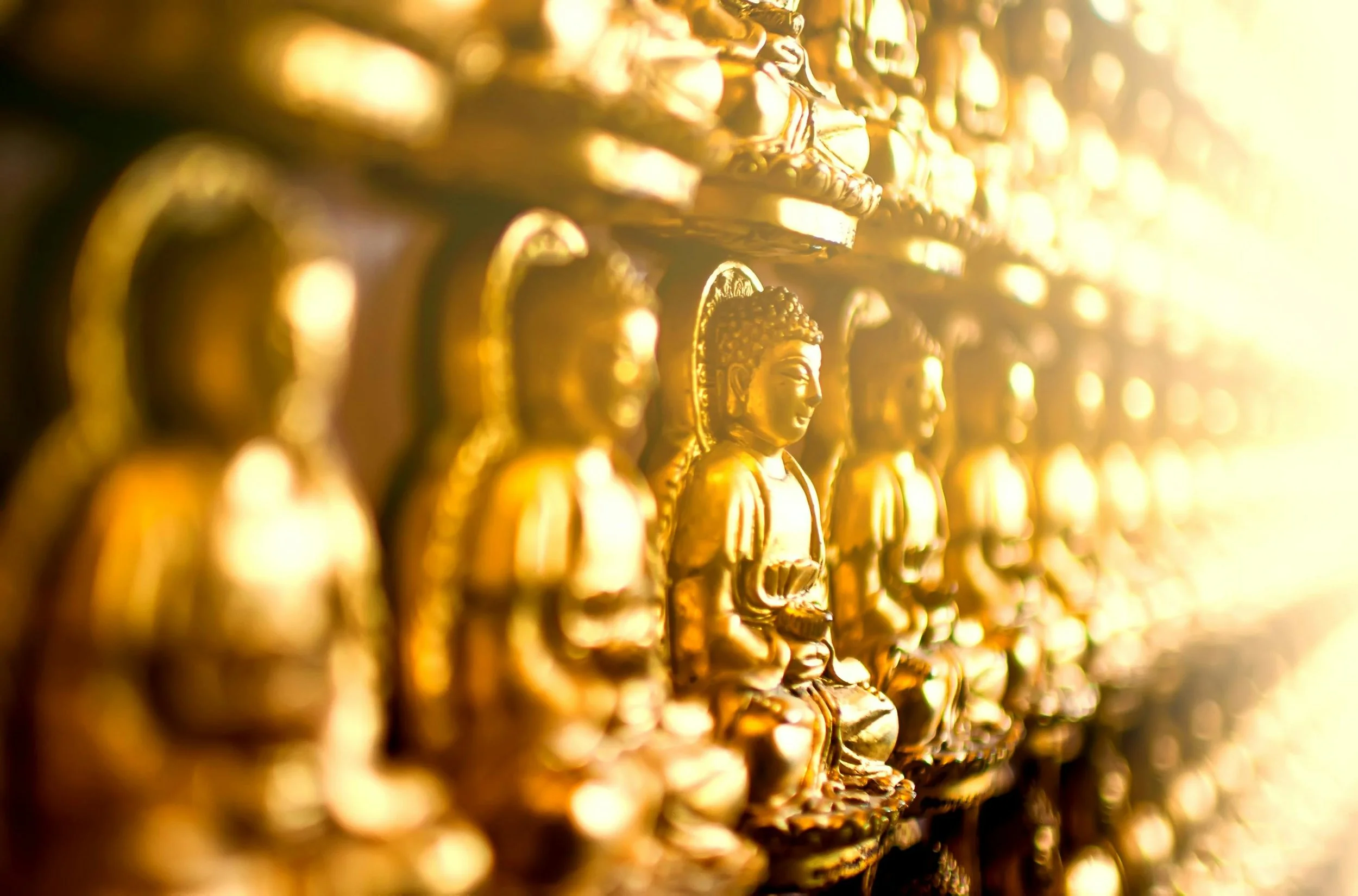 The Poetry of Sangha