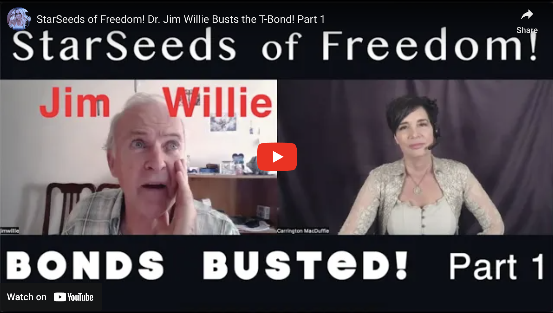 StarSeeds of Freedom: Dr. Jim Willie Busts the T-Bond! Part 1