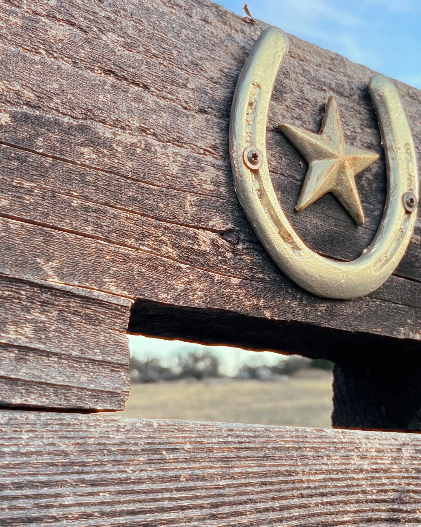 Way down deep in the heart of the Lone Star State, sayin God bless America
.
.
.
.
.
#texas #lonestar #lonestarstate #godblessamerica