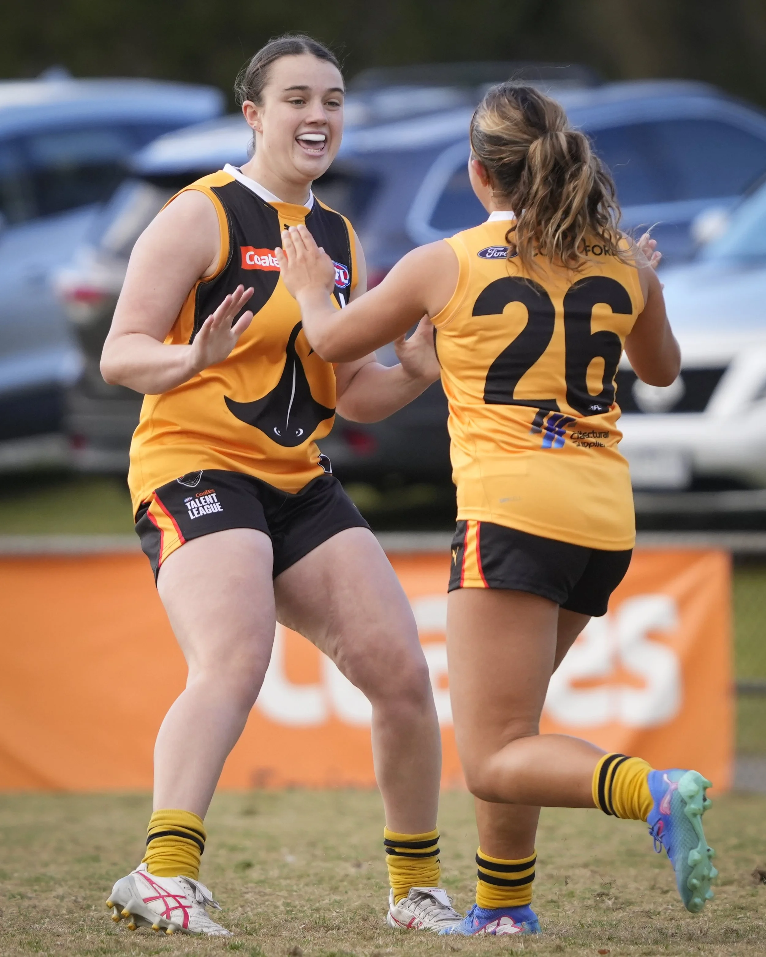 Dandenong Stingrays VS Tasmania Devils U18 Boys & Girls