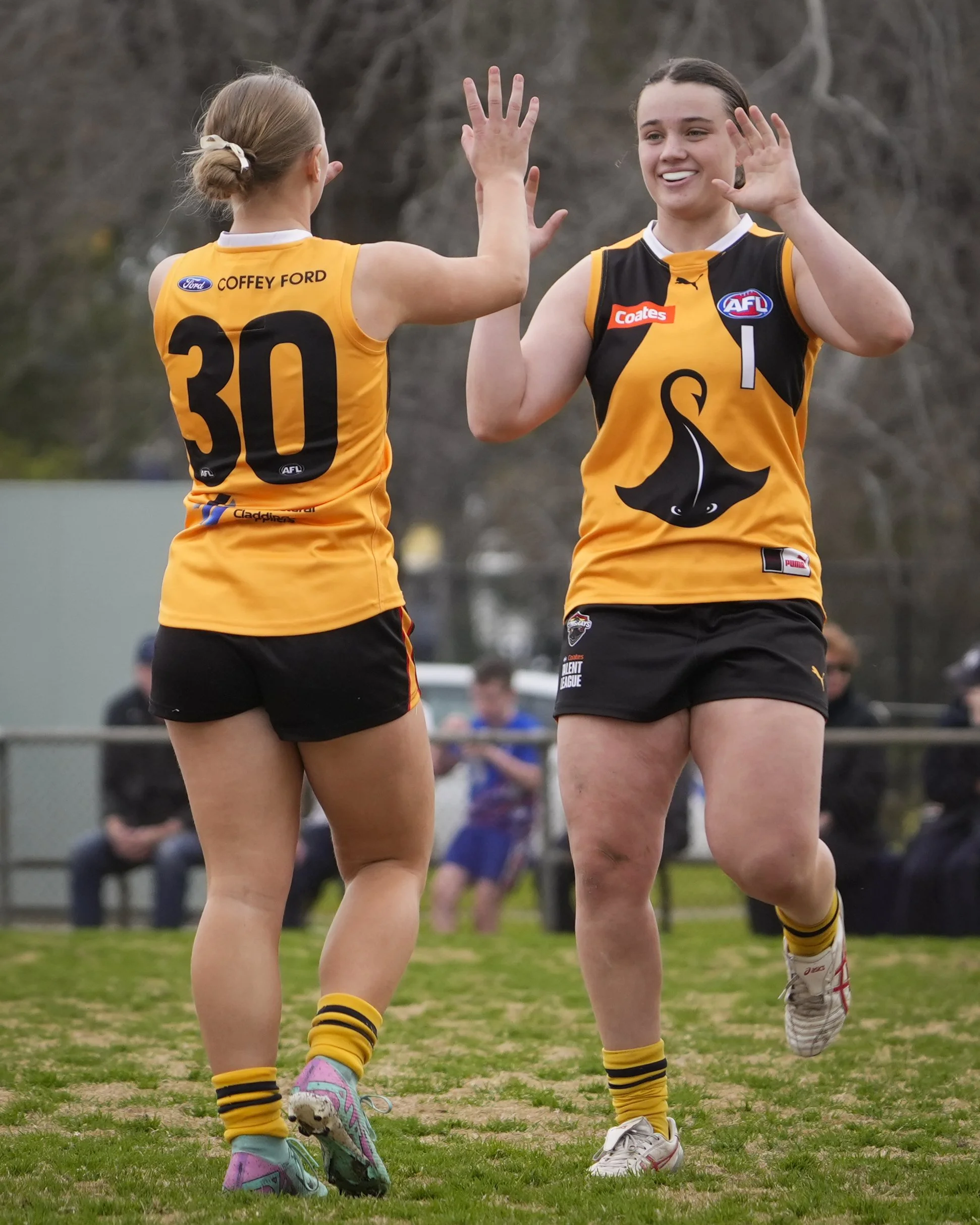 Dandenong Stingrays VS GWV Rebels Girls