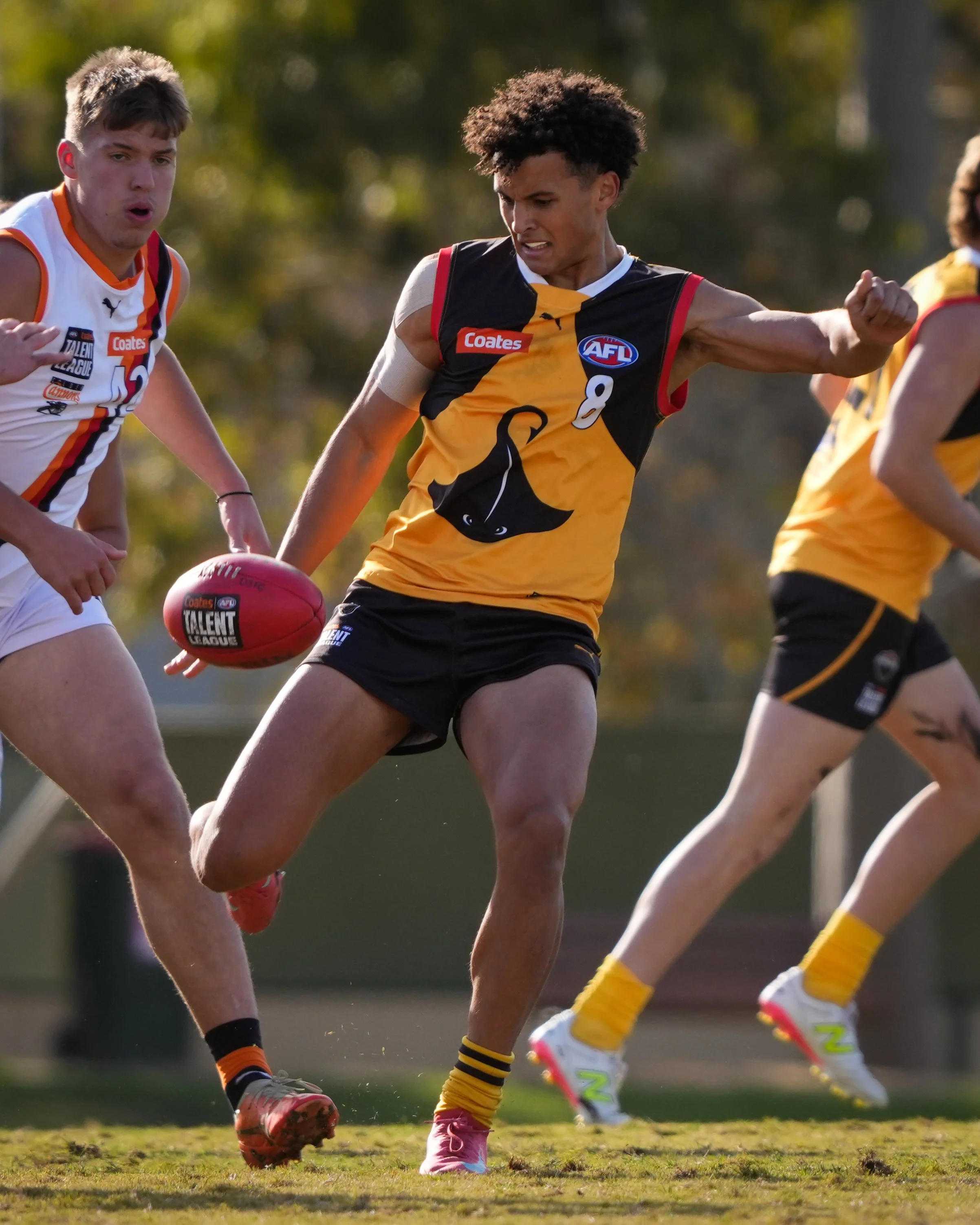 Dandenong Stingrays VS Calder Cannons U18 Boys Round 7