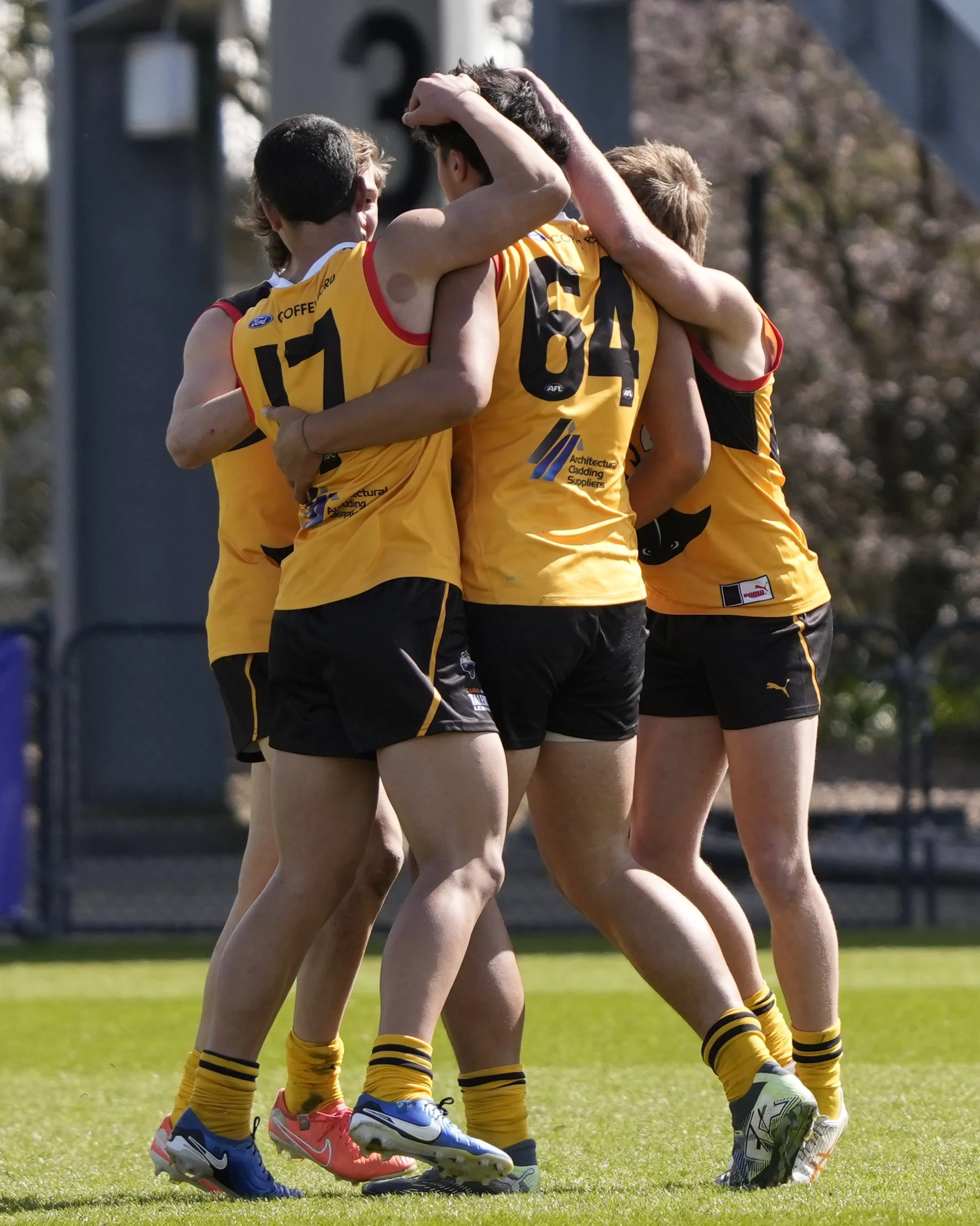 Dandenong Stingrays Boys Quarter Final