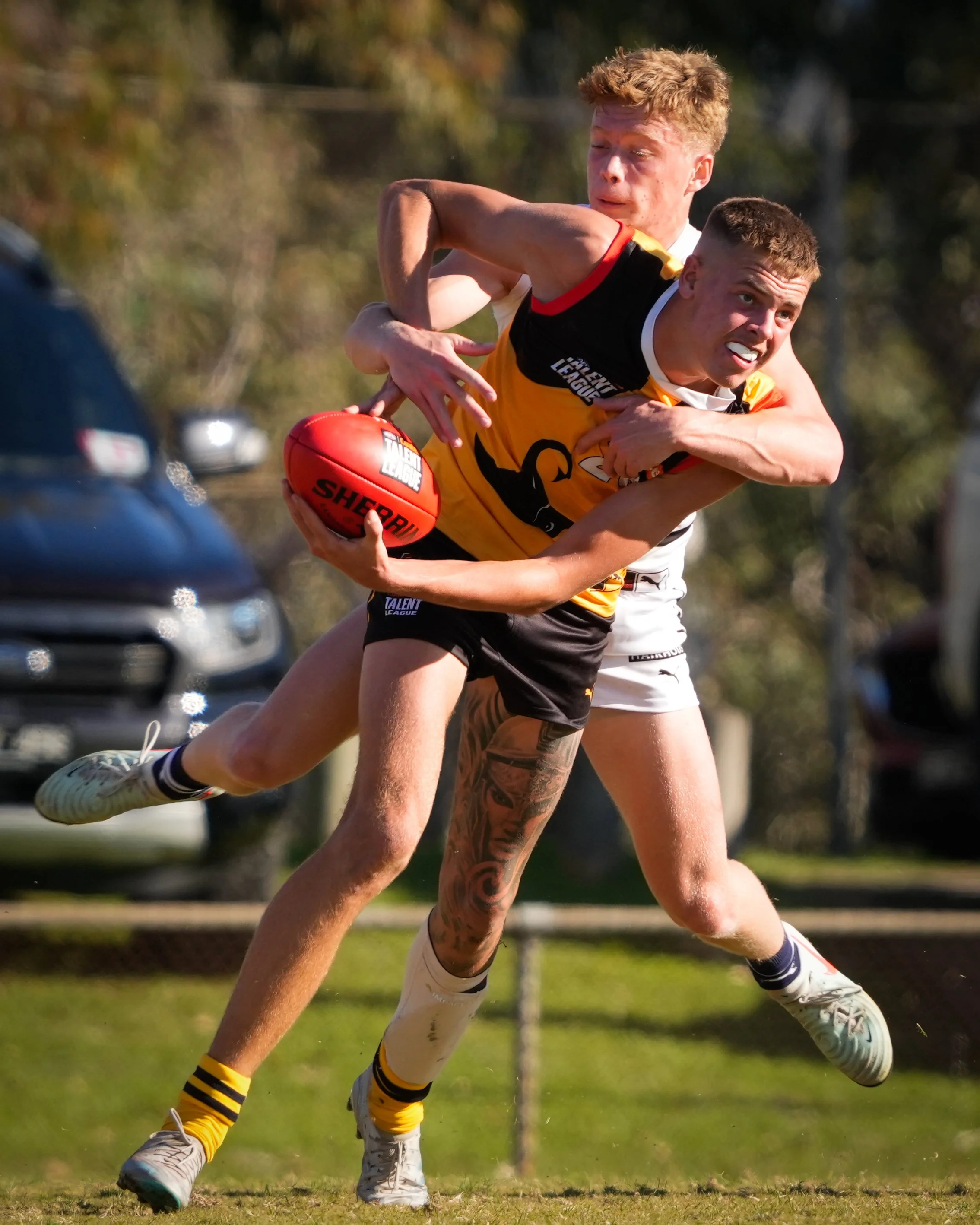 Dandenong Stingrays VS Northern Knights U18 Boys Round 6