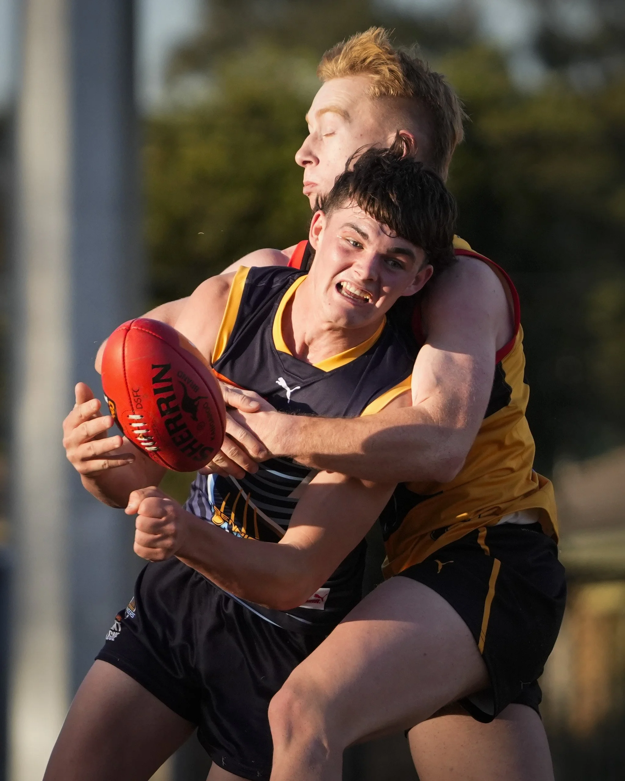 Dandenong Stingrays VS Bendigo Pioneers U18 Boys Round 8