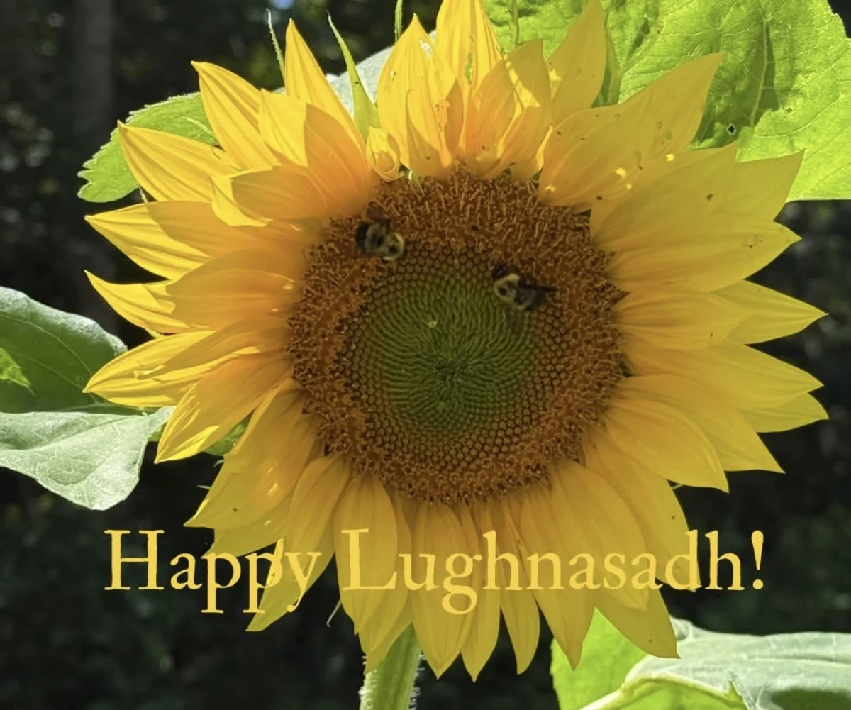 Acknowledging Unexpected Blessings