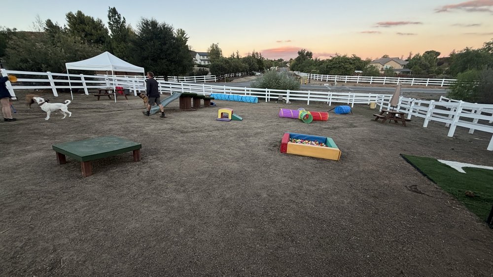 The fenced Pooch Kingdom private dog park at sunset