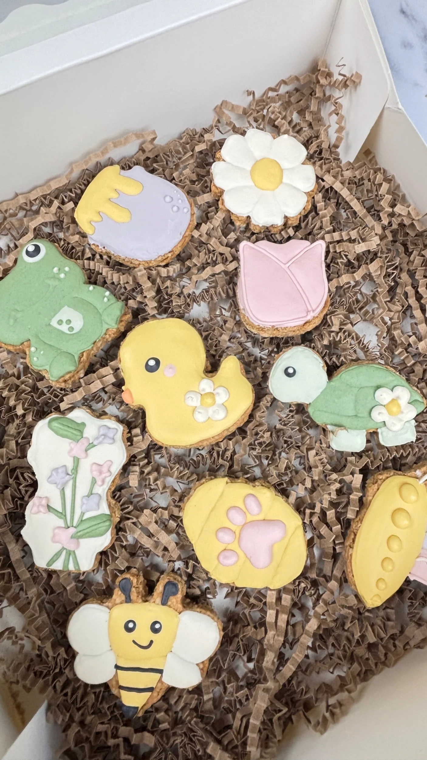 Spring Garden Dog Treat Box