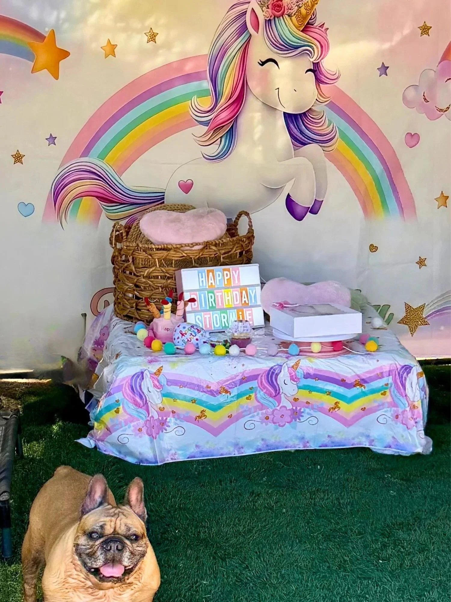 Brown-dog-birthday-celebrations-pooch-kingdom.jpg.jpg