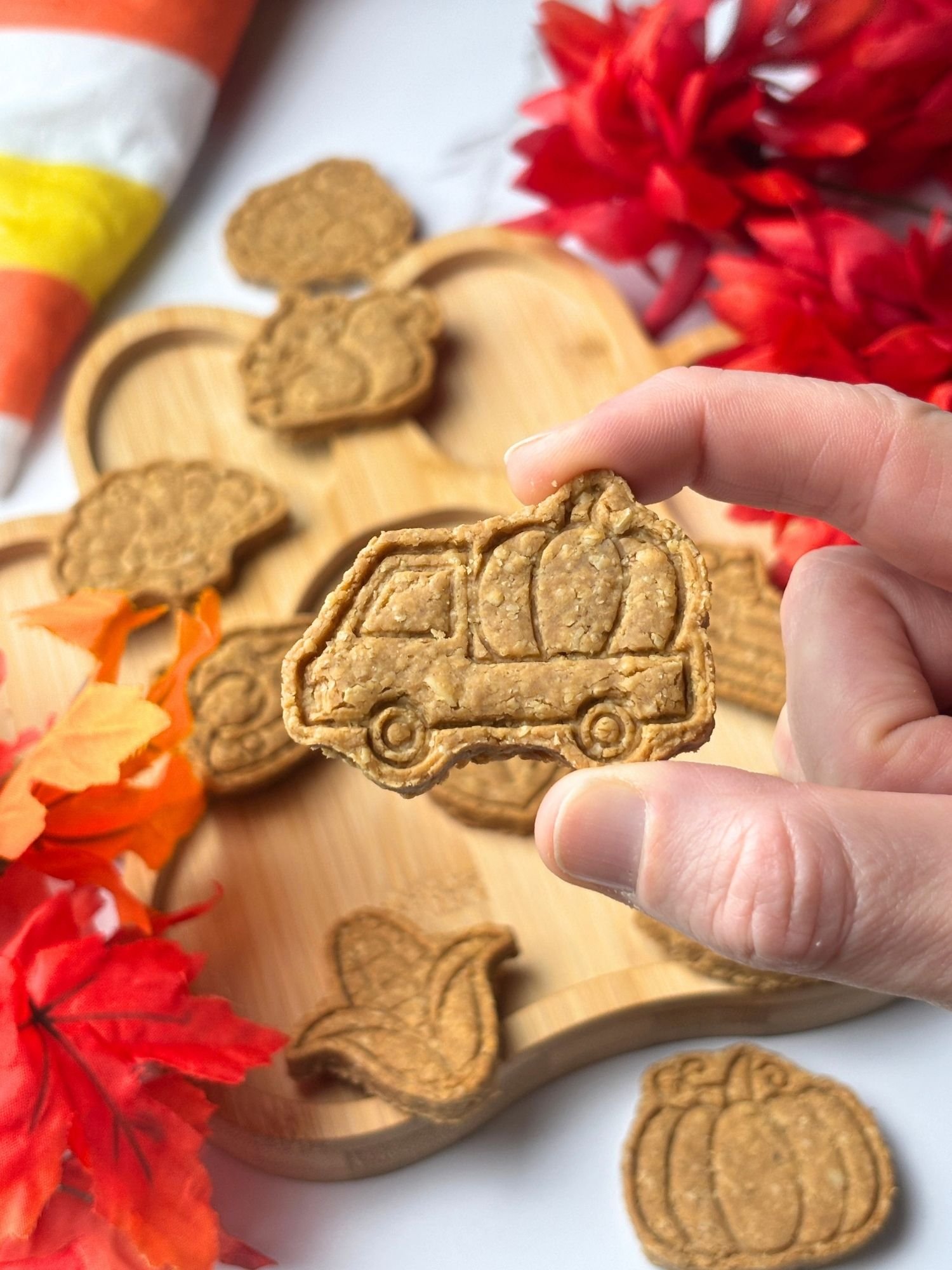 Pooch Kingdom Pumpkin Patch Dog Treats close-up detail