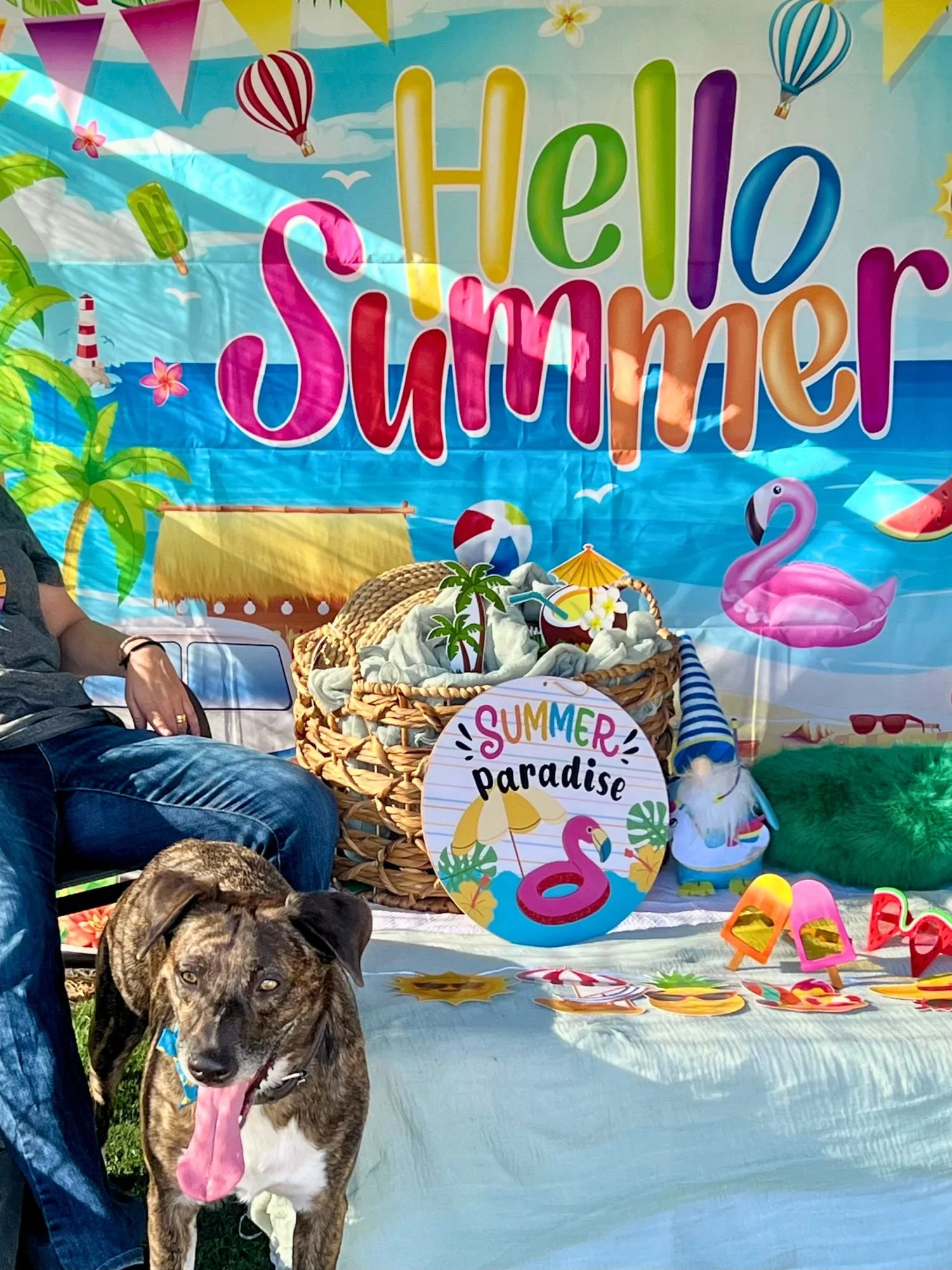 Brown-dog-photo-booth-pooch-kingdom.jpg.jpg