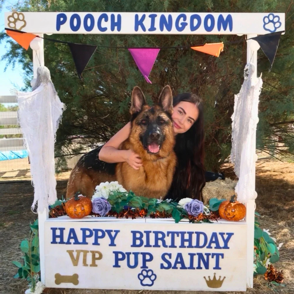 A German Shepherd and owner in the Happy Birthday VIP Pup Saint photo frame at Pooch Kingdom