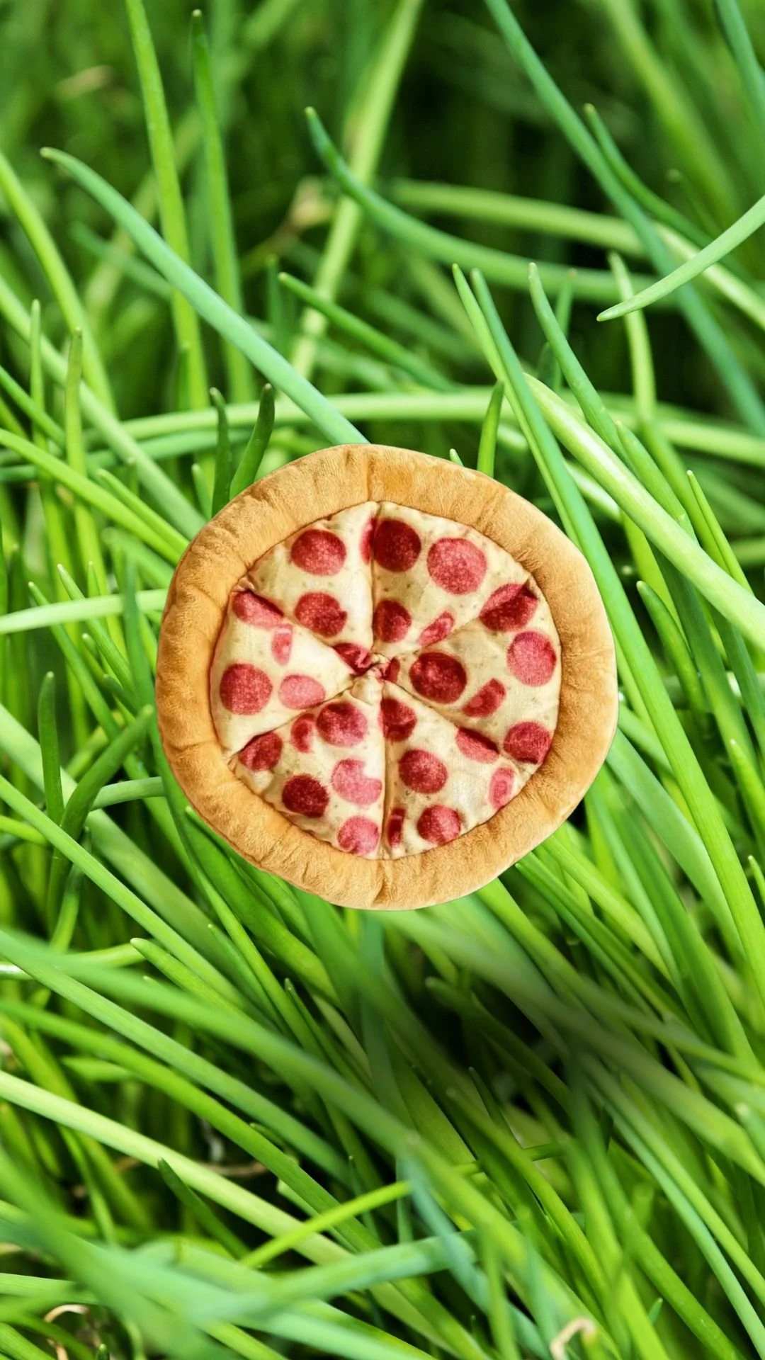 Full Pup-zza Dog Toy