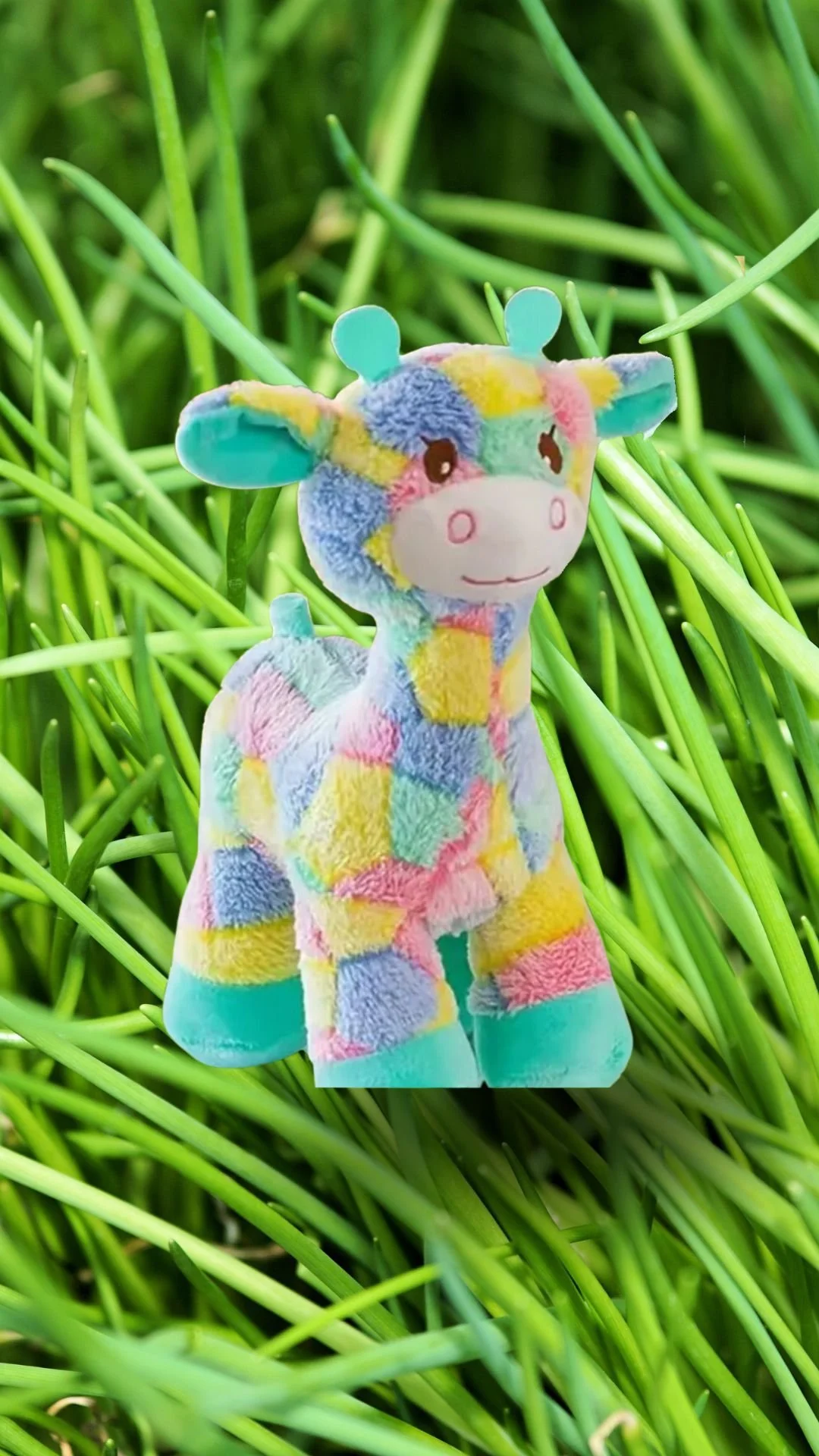 Rainbow Rudy Dog Toy