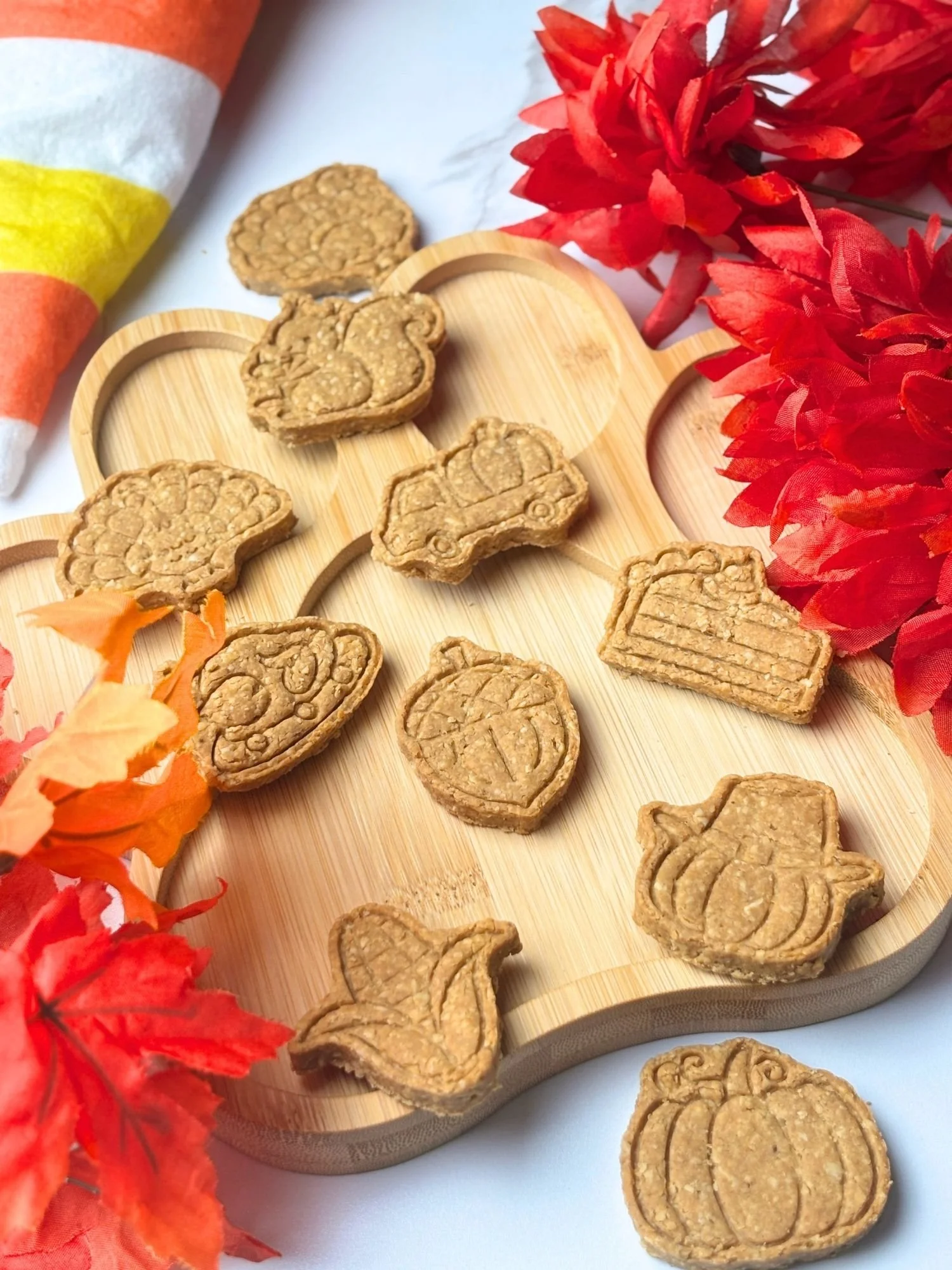 Pumpkin Patch Dog Treats